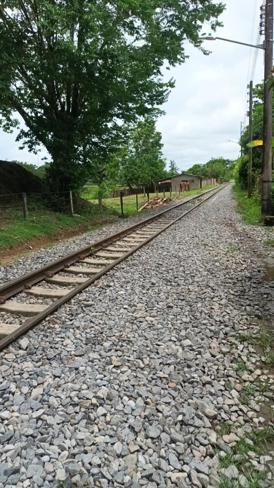 Parcela La Casa En La Estación