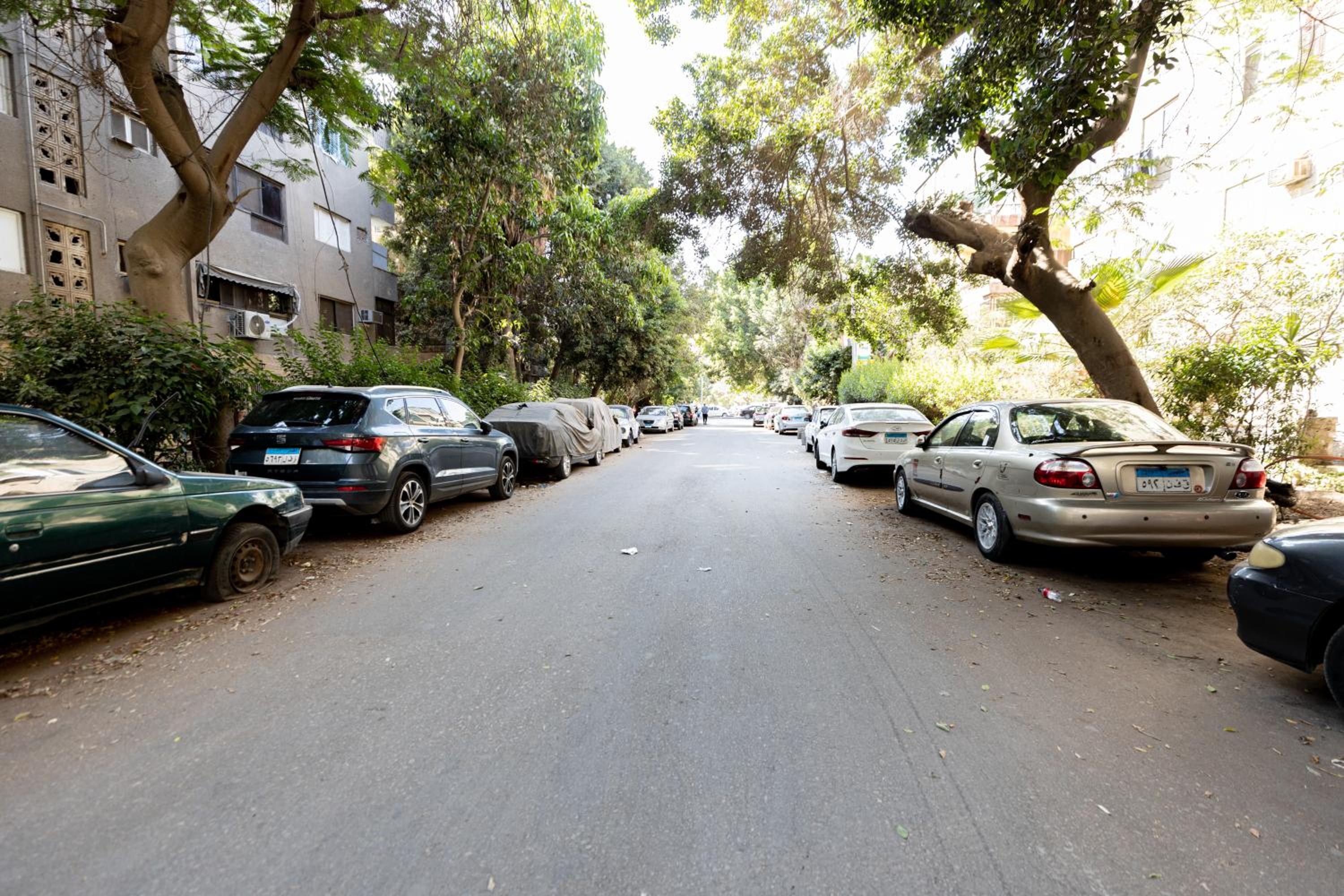 Lily Mint Spacious 3BR Apt in Maadi W-TV and WIFI