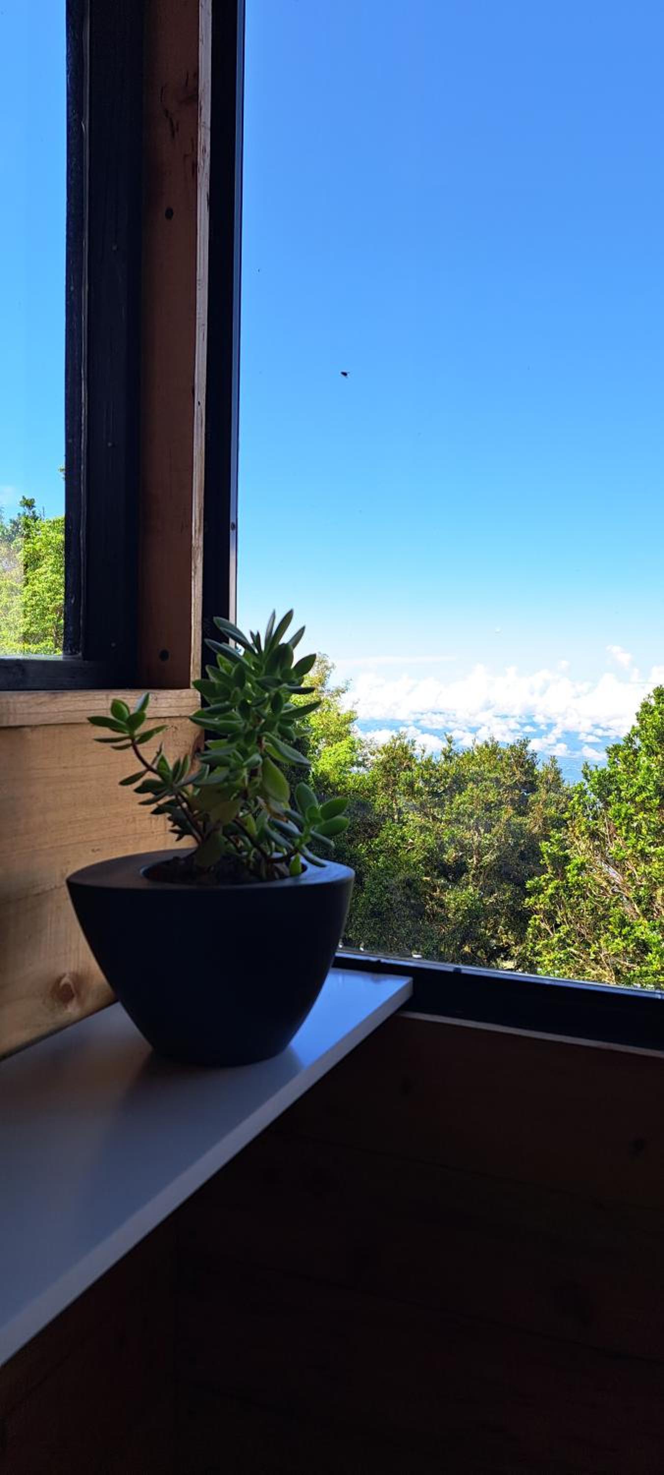 Tiny House Jaulares