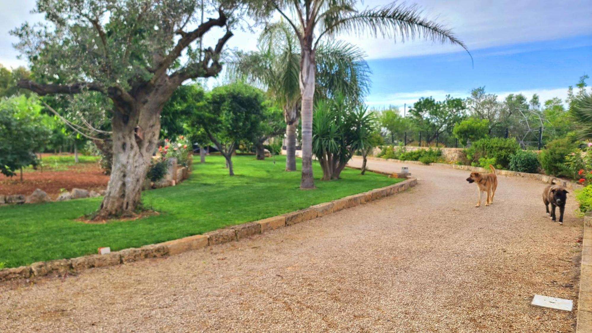 Villa Anna Salento - due camere con piscina, cucina e BBQ a pochi minuti dal mare view 3