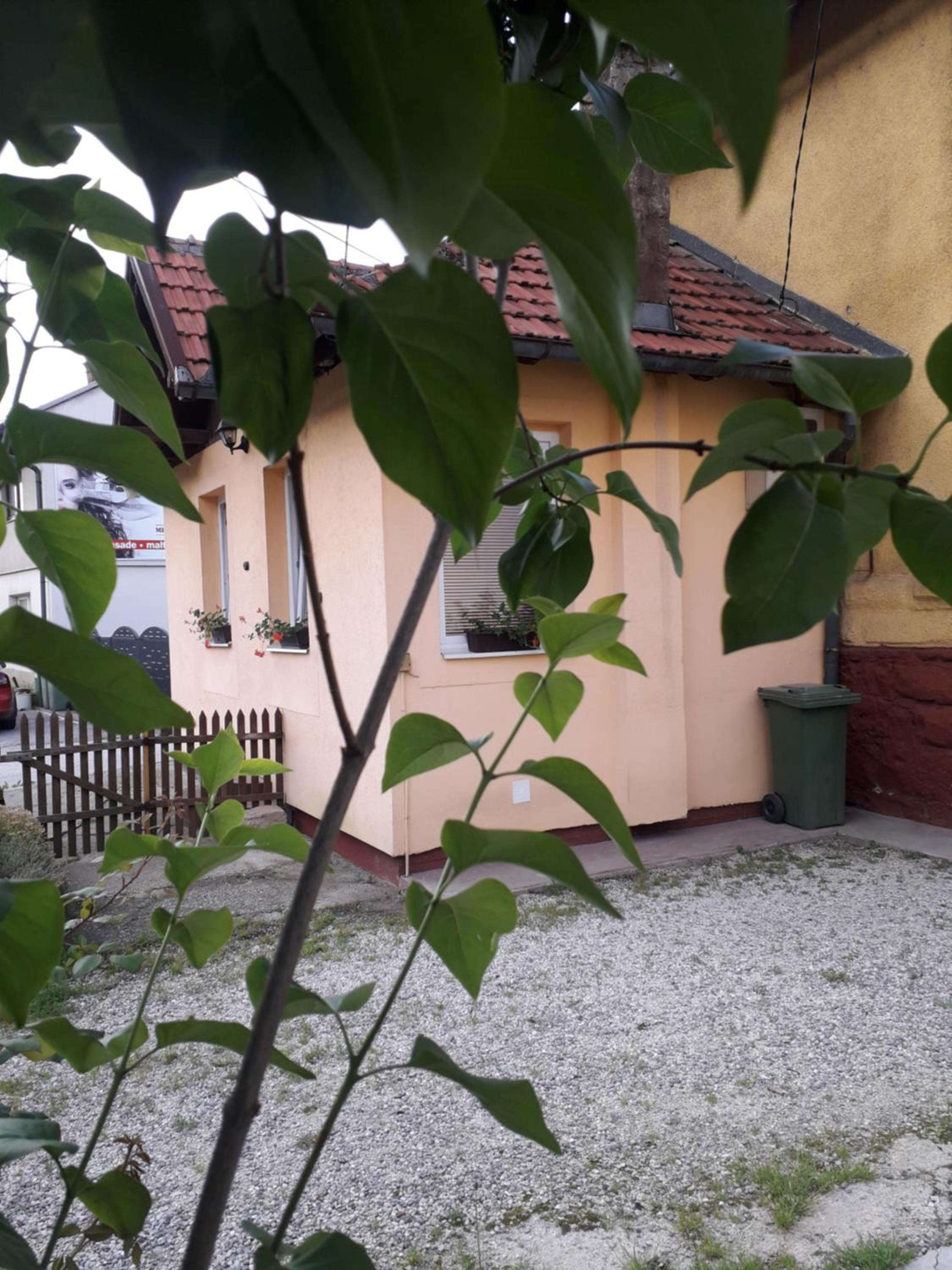 YELLOW HOUSE