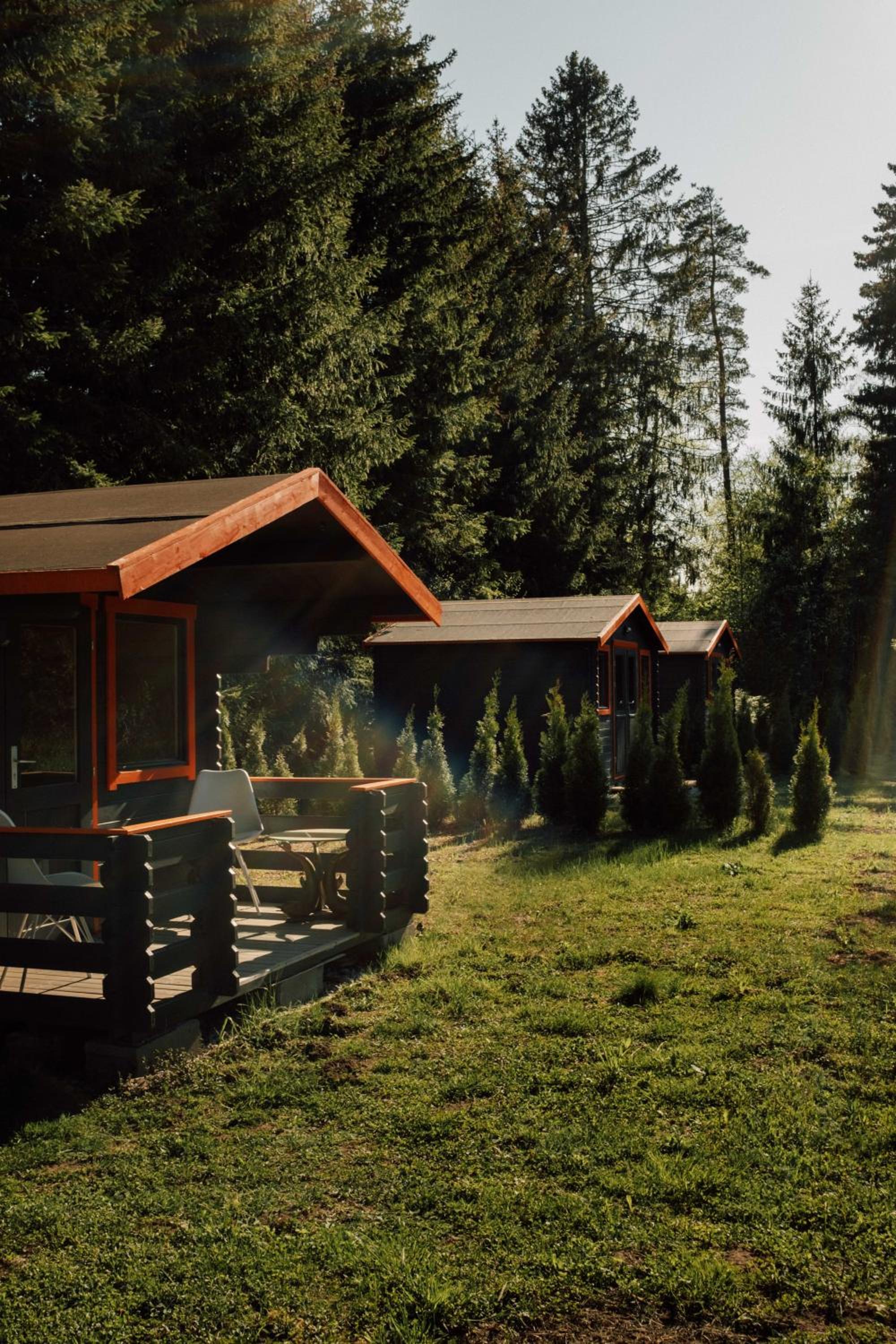 Photo 45