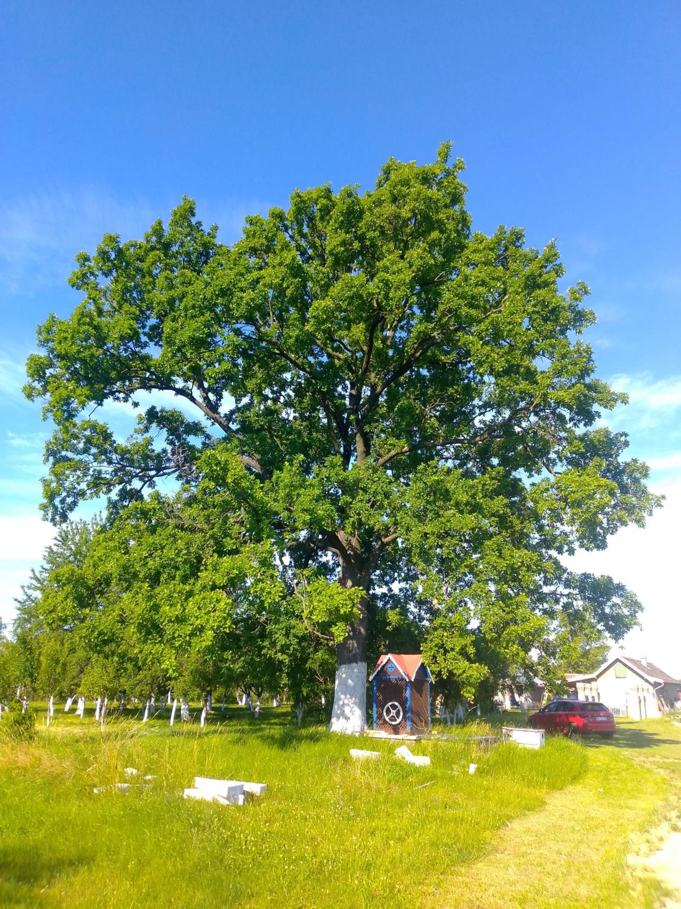 Photo 28