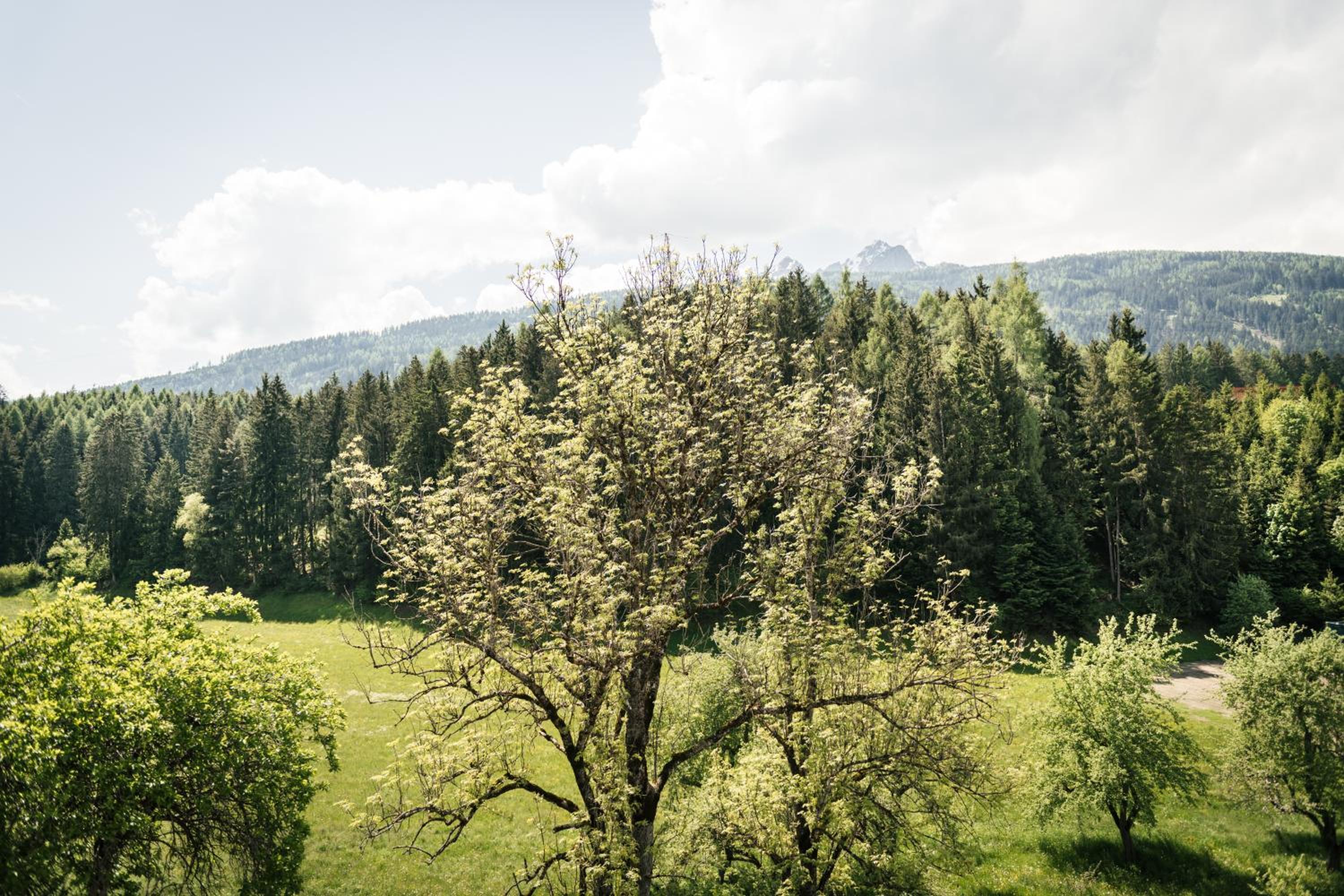 Edenhauserhof