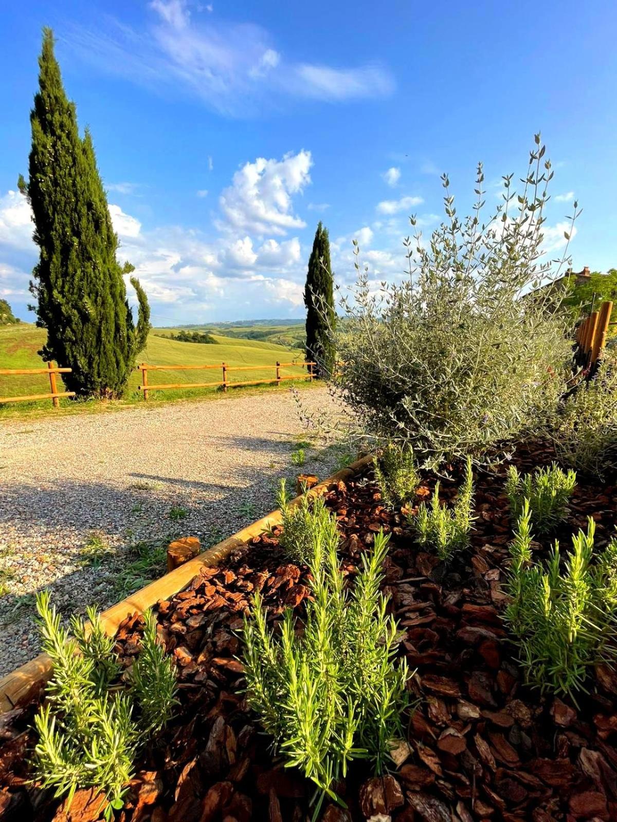 Poggio Giulia view 5