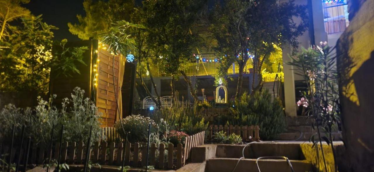 Jungle Jam