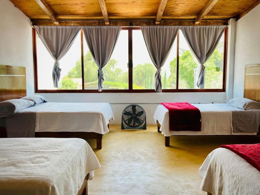 La Casa del Jagüey en Atlixco, Pet Friendly. view 5