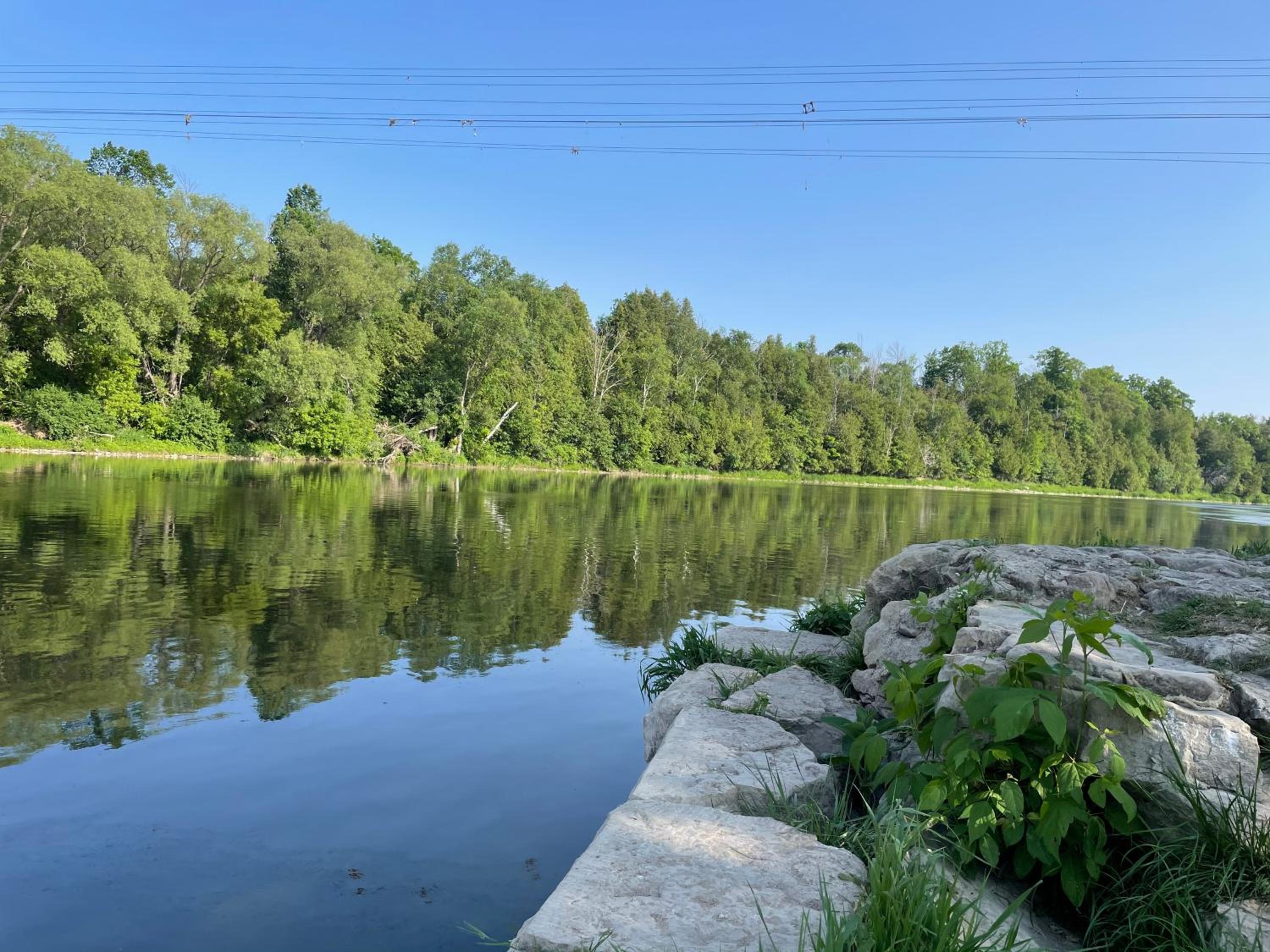 Kitchener Vacations - Cozy Cottage Style House - Property Image 2