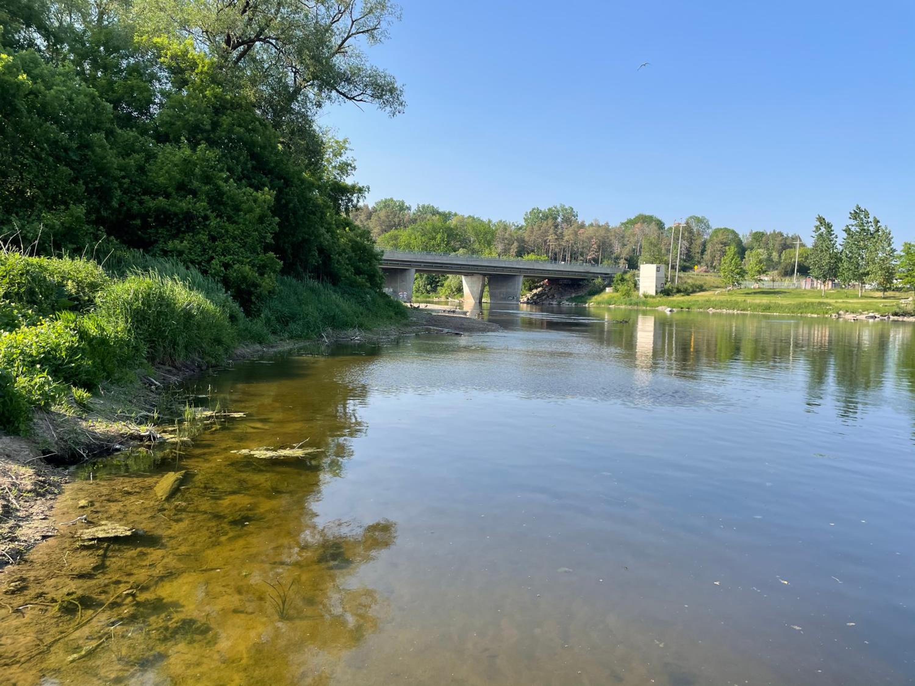 Kitchener Vacations - Cozy Cottage Style House - Property Image 3