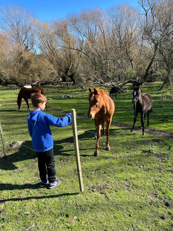 Casa de Campo con Bosque y Pileta