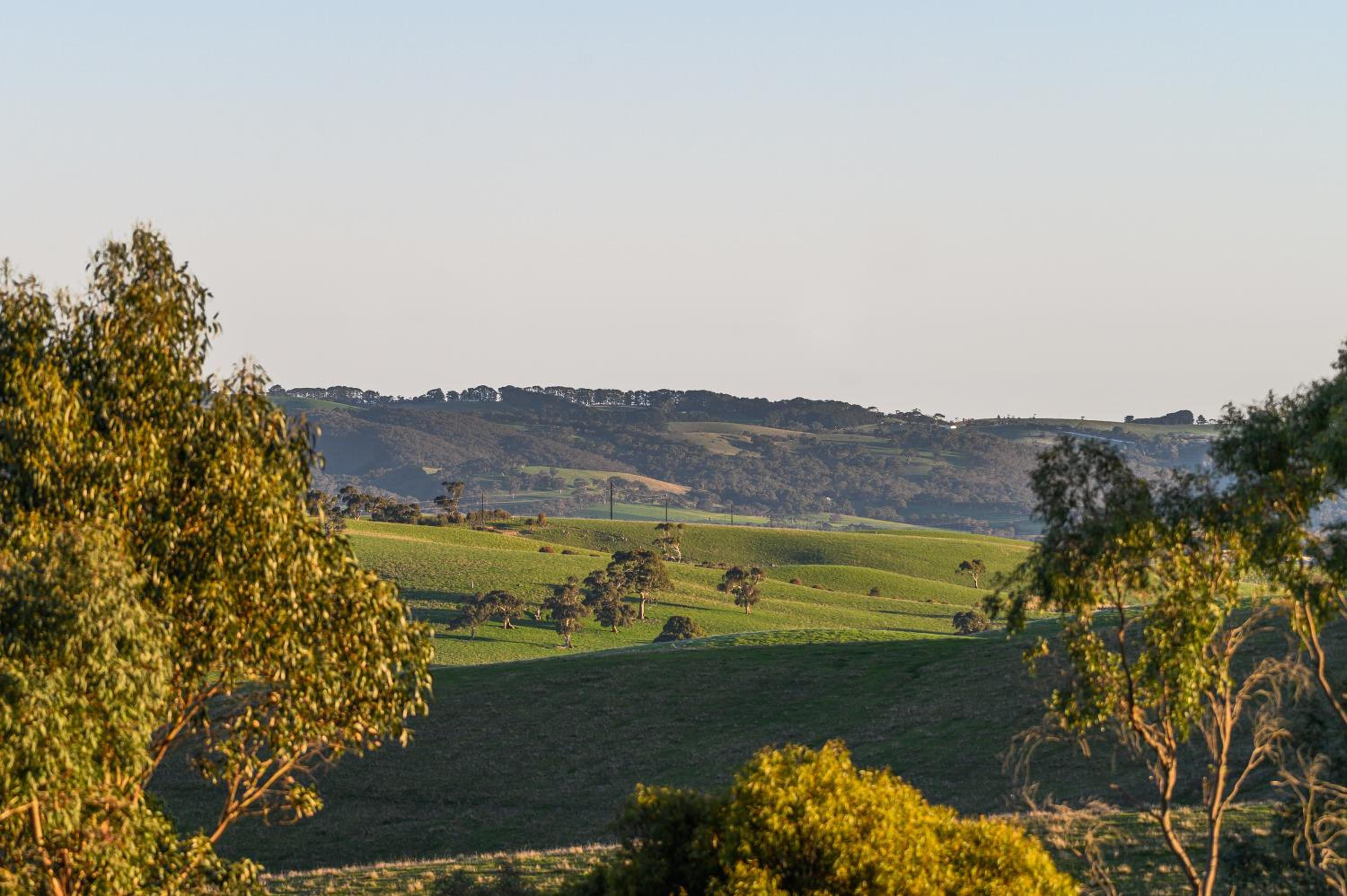 Sellicks Hill Eco Cabin - C21 SouthCoast Holidays