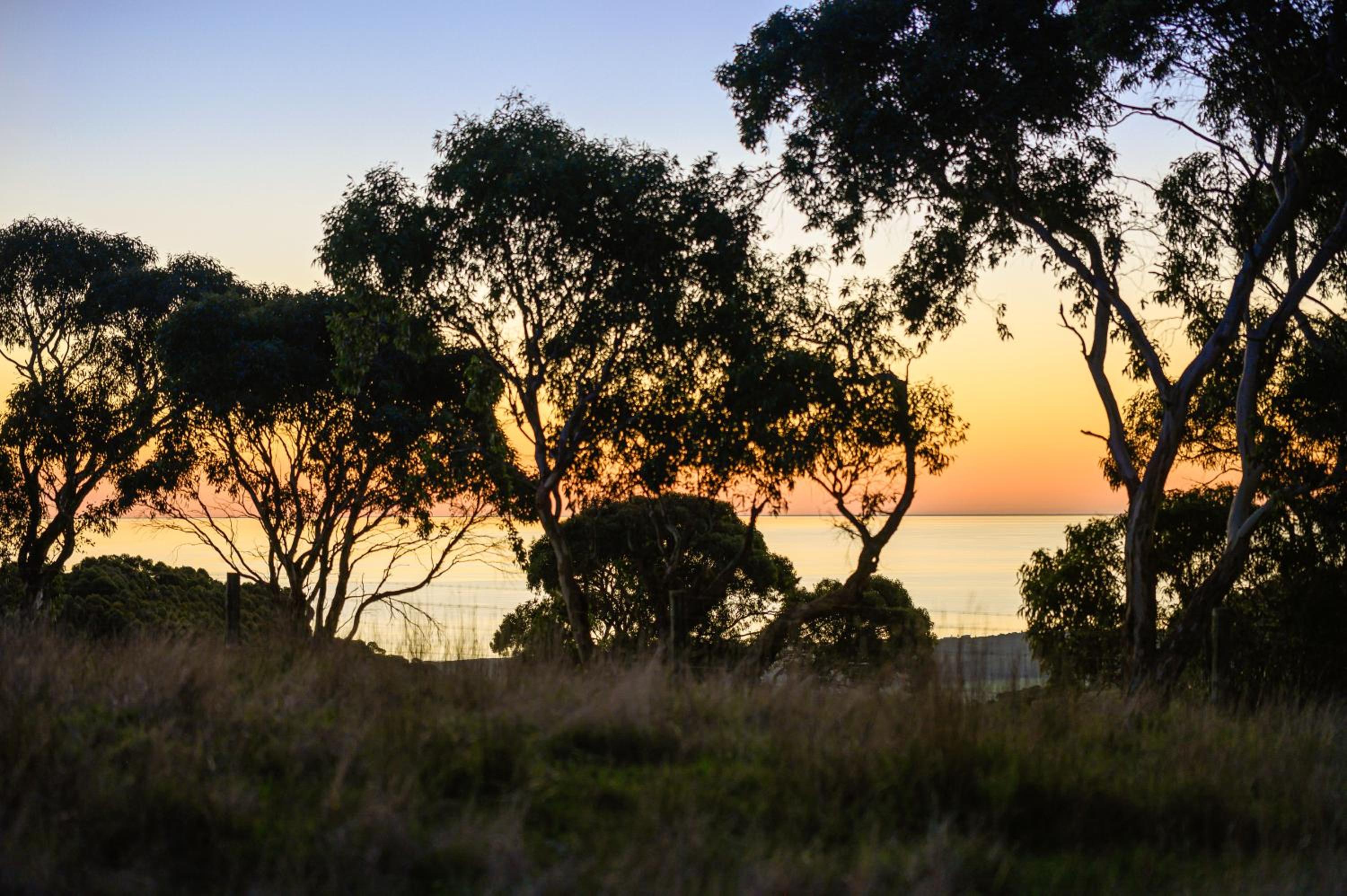 Sellicks Hill Eco Cabin - C21 SouthCoast Holidays