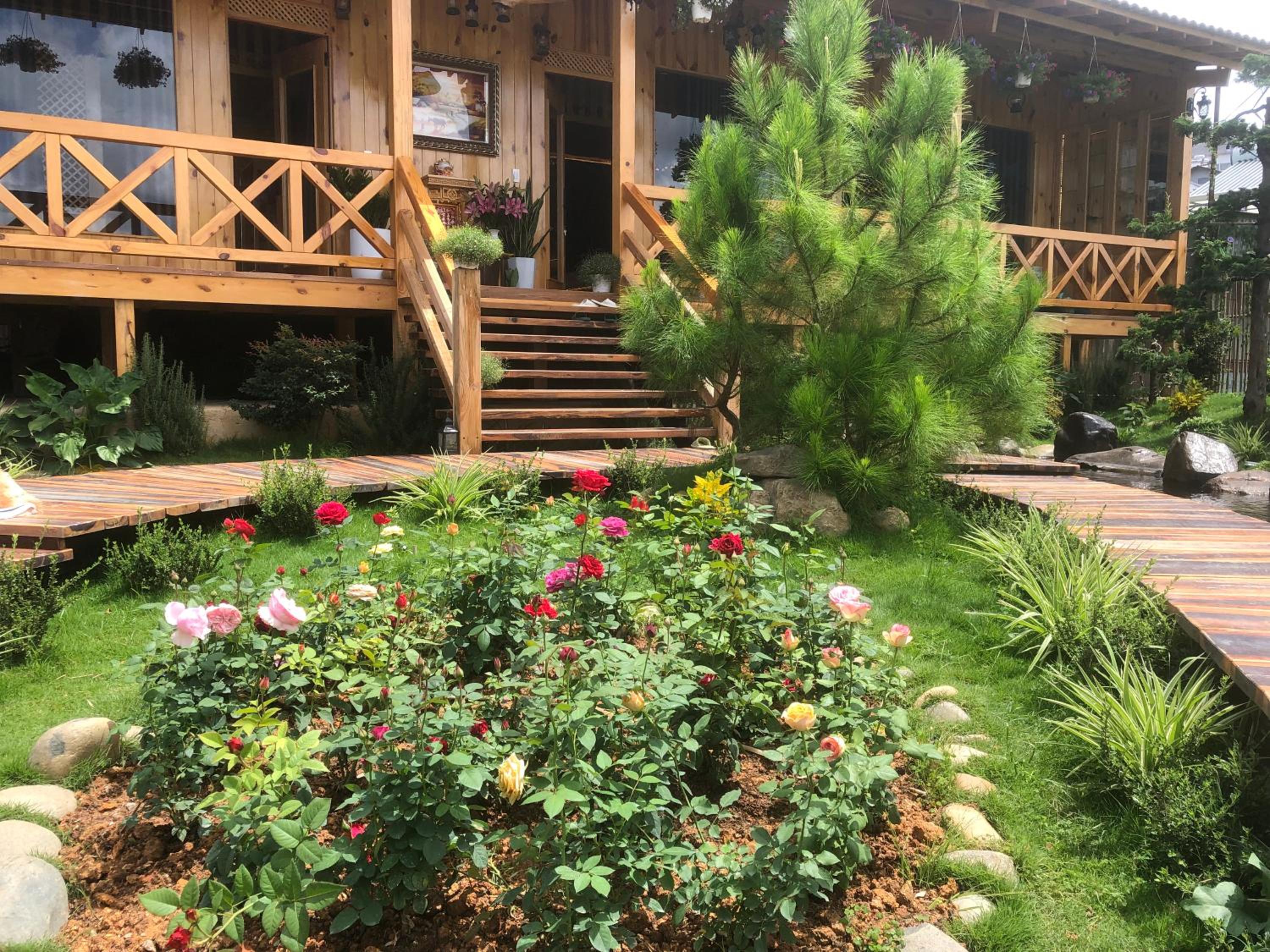 Photo 23