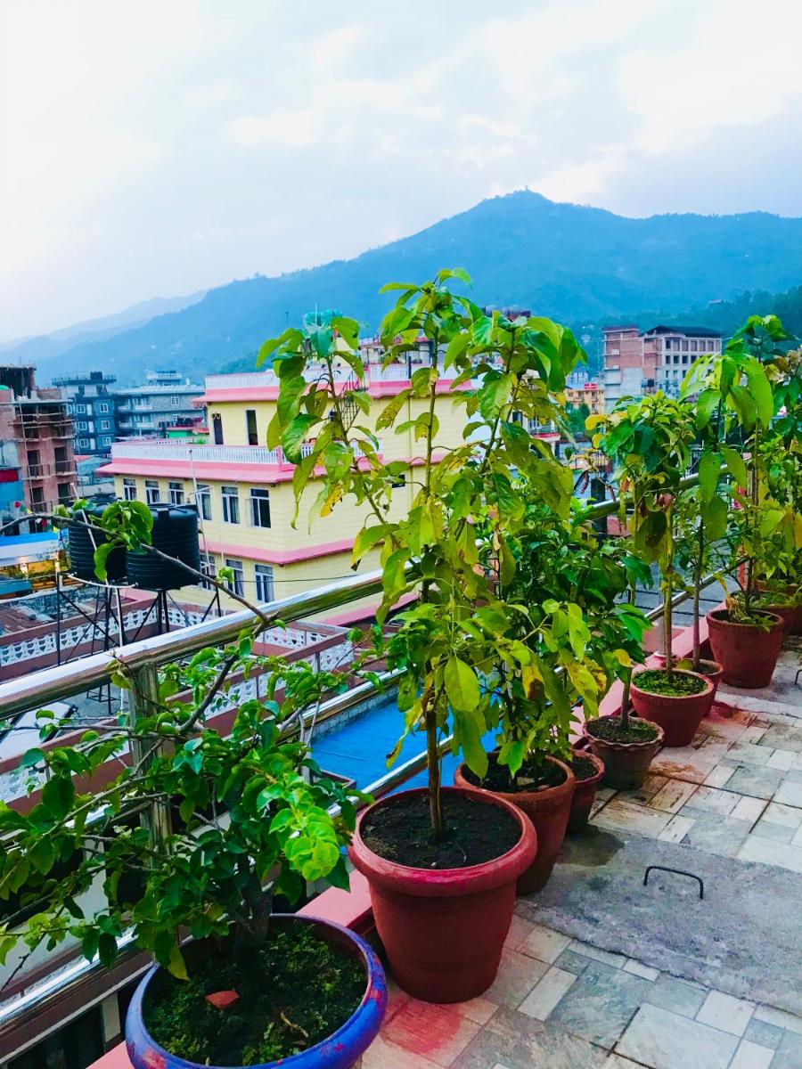rooftop
