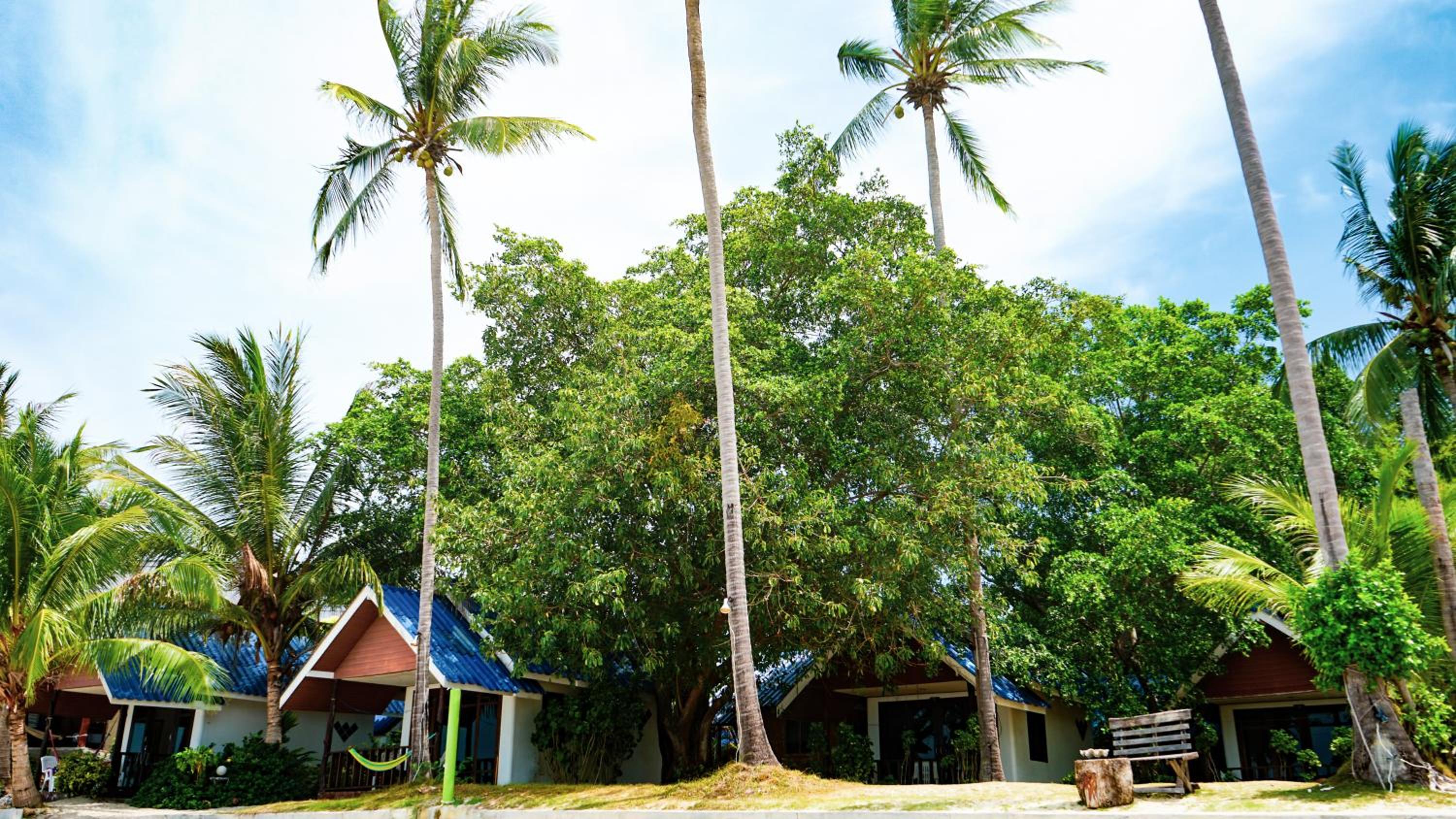 Coco Garden Resort