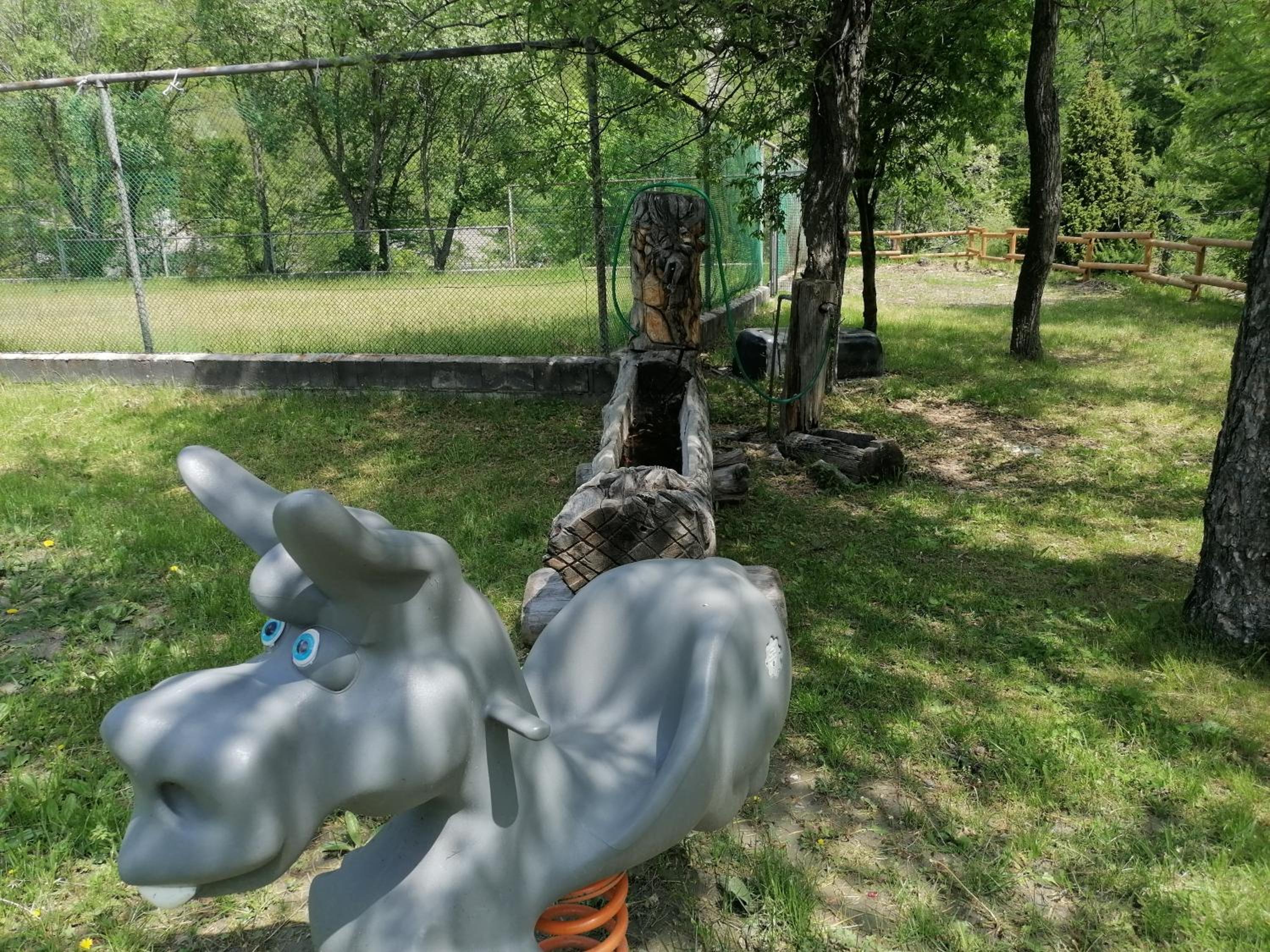 Photo 43