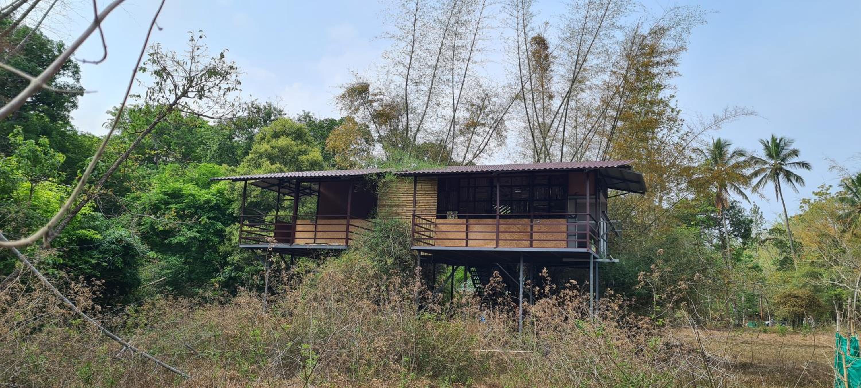 Deep Jungle Home Bandipur Mudumalai view 2