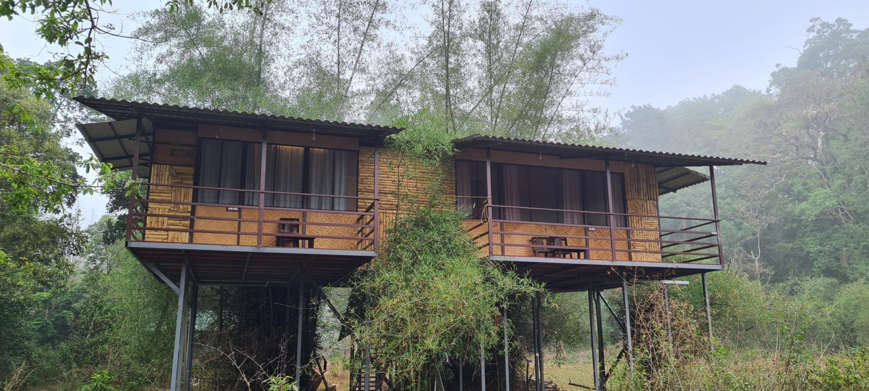 Deep Jungle Home Bandipur Mudumalai view 3