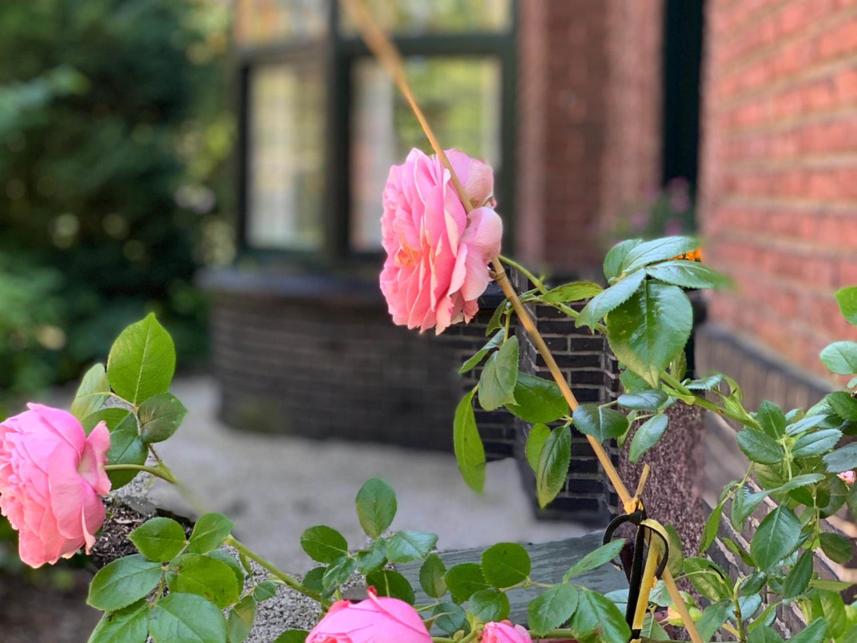 Vakantiewoning Guesthouse MOMO