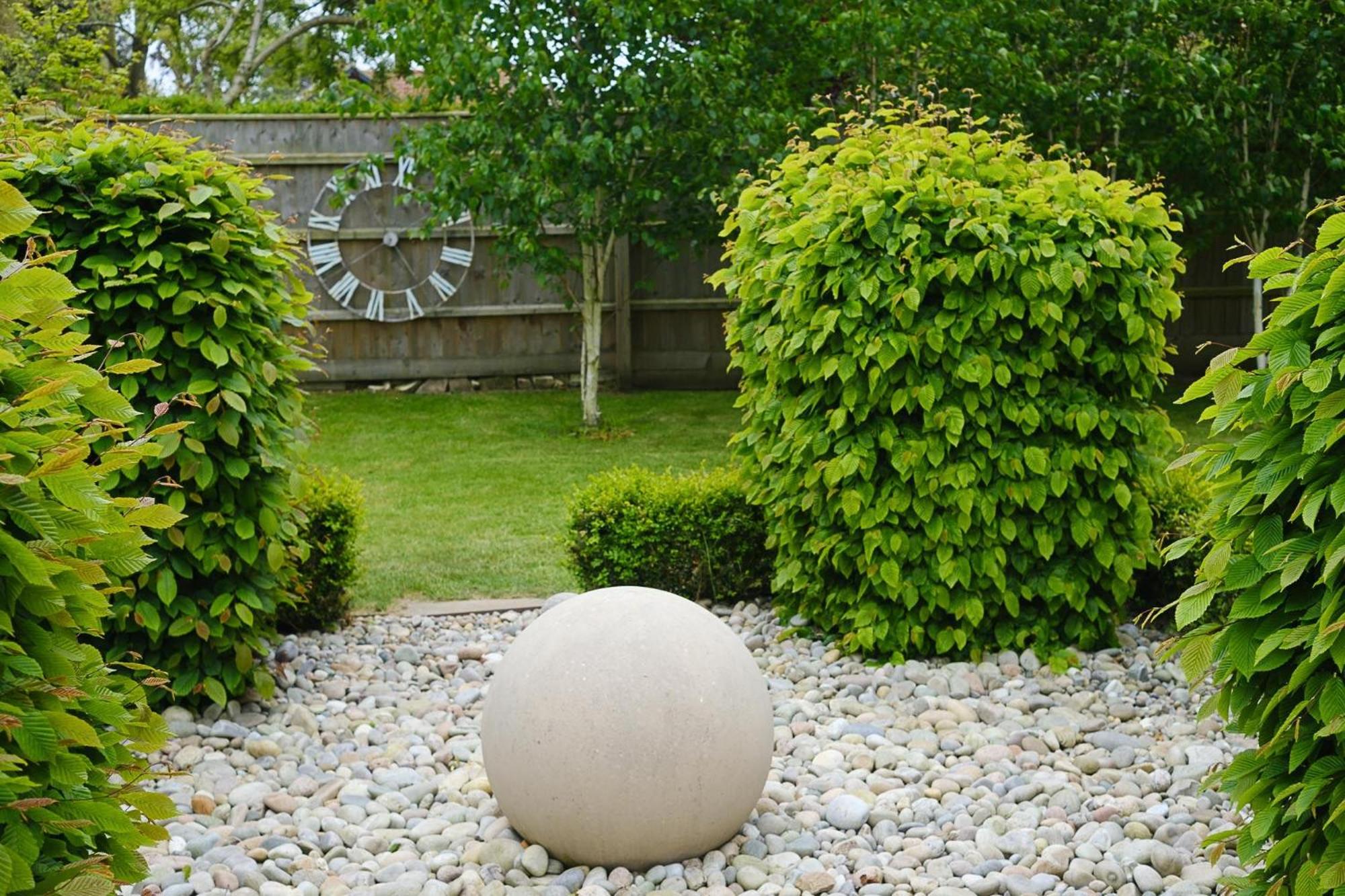 Photo 19