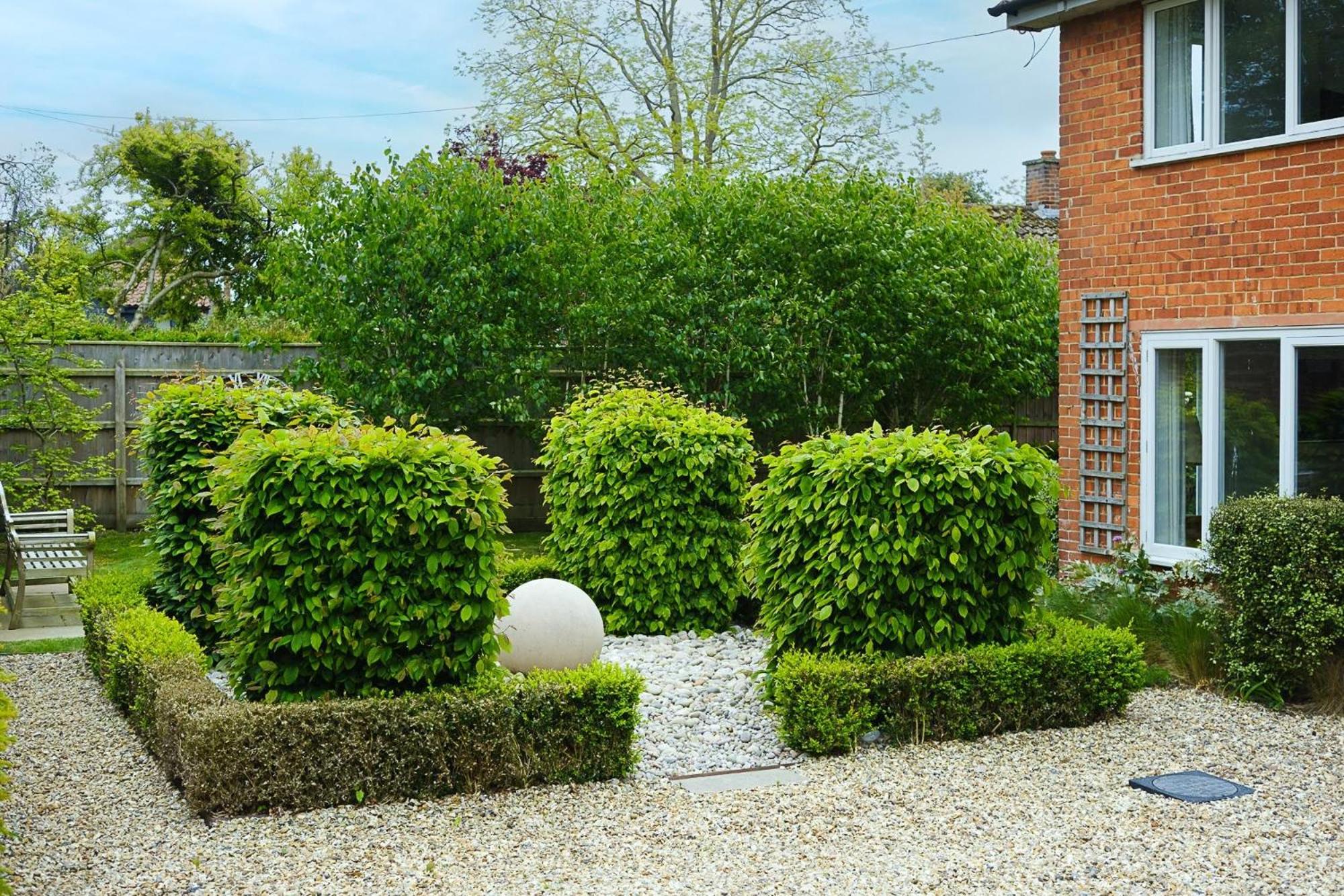 Photo 20