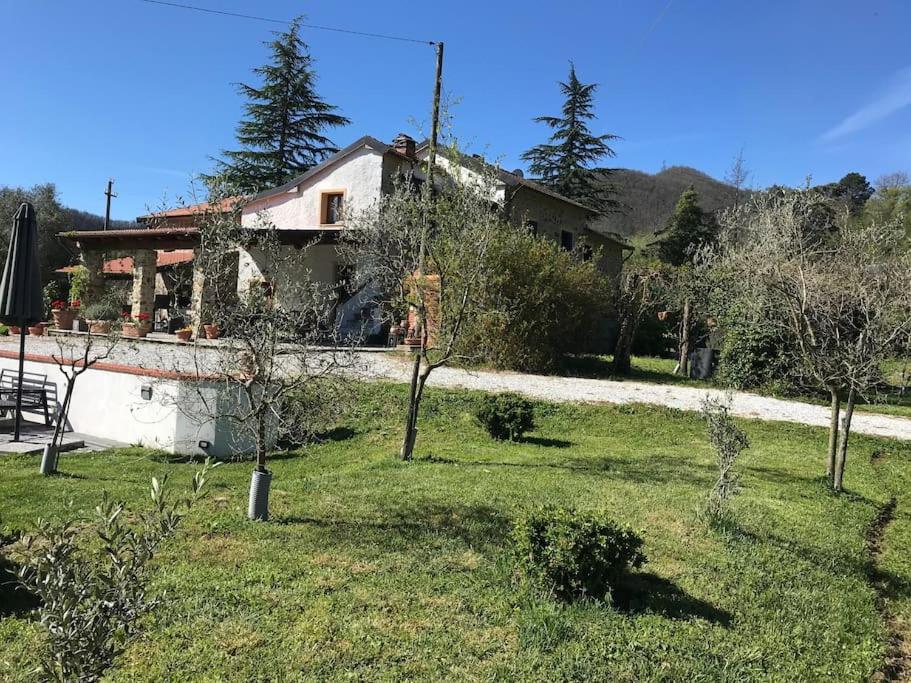 Casale del Pozzo-Villa with pool - Fosdinovo in the borgo of Pulica view 4