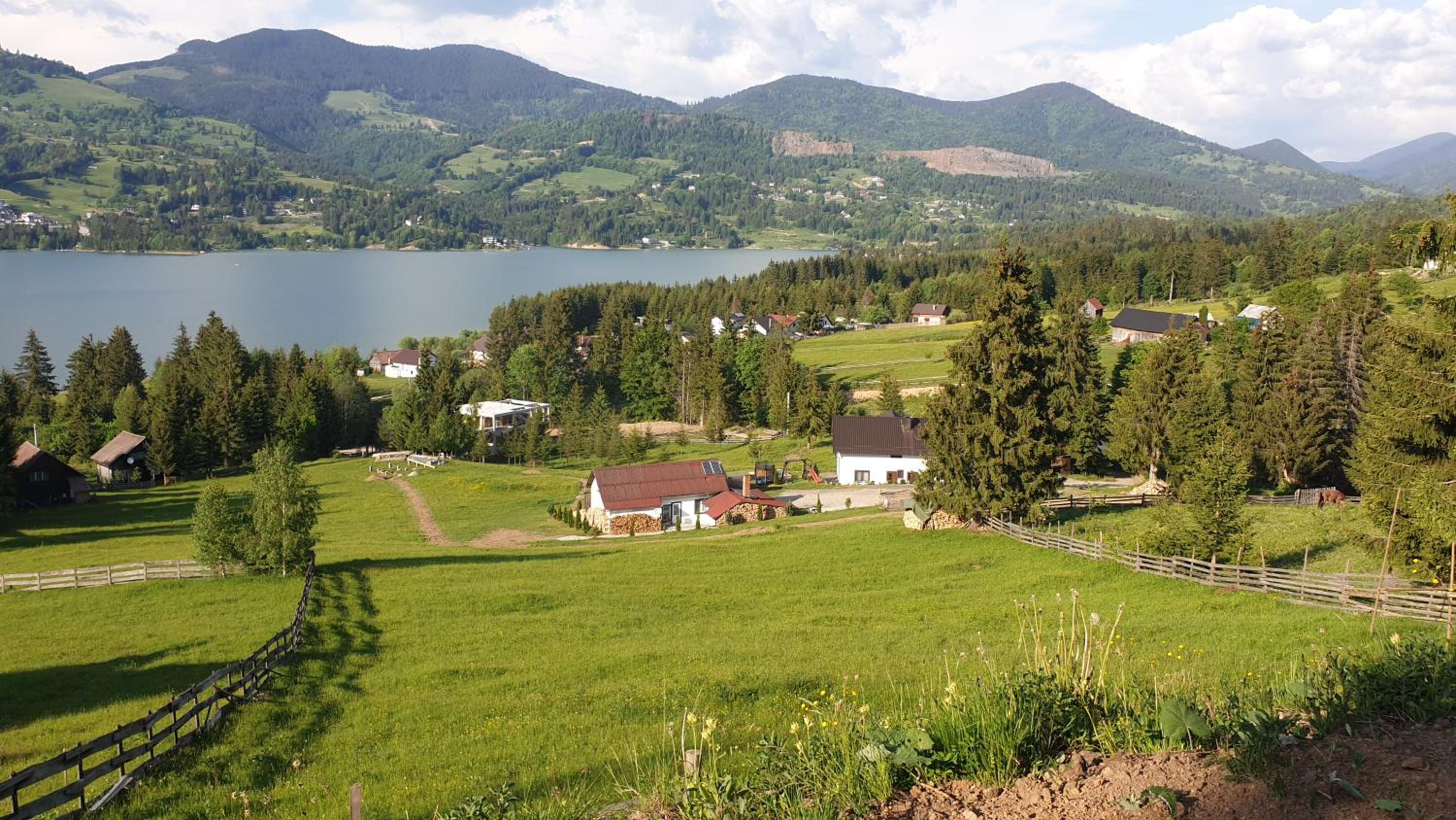 Photo 25