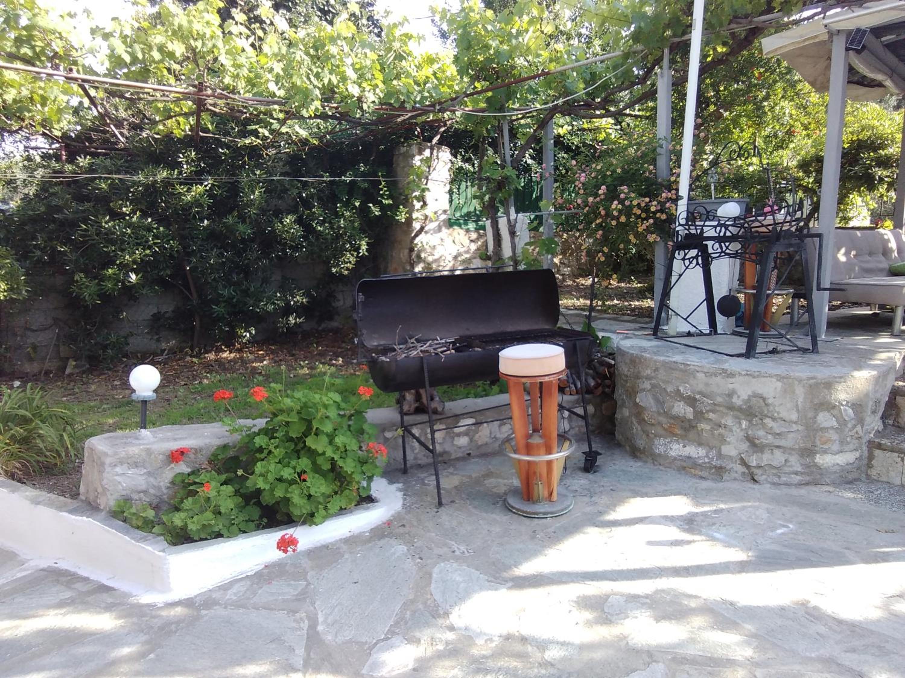 Photo 51