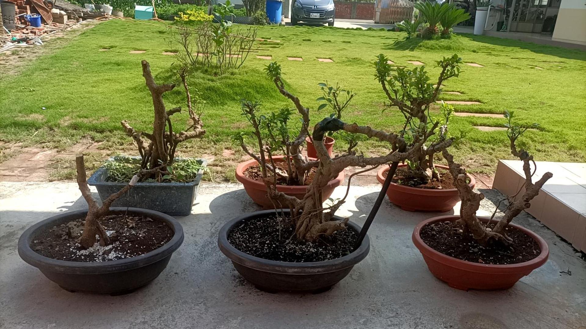 Photo 18