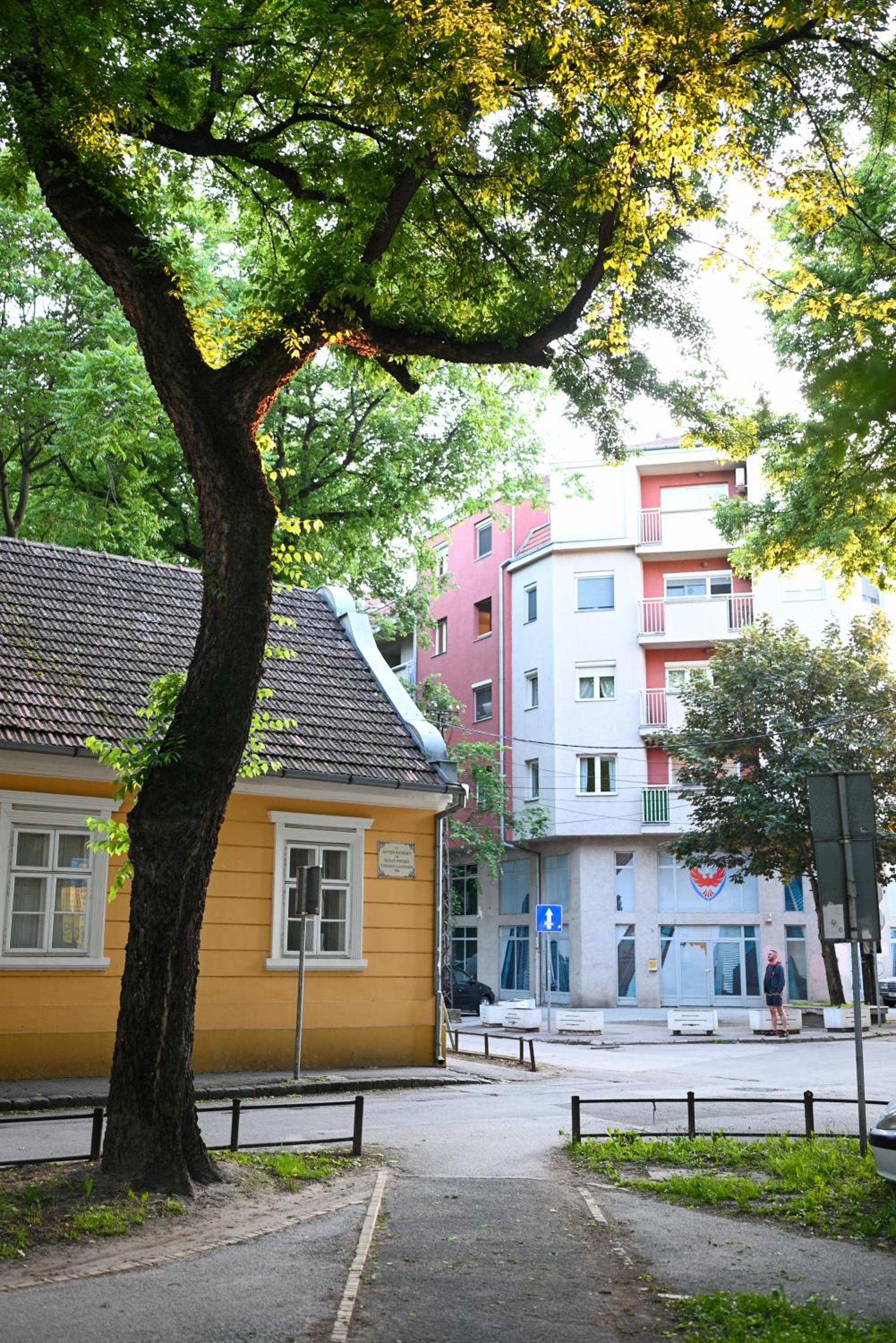 Photo 7