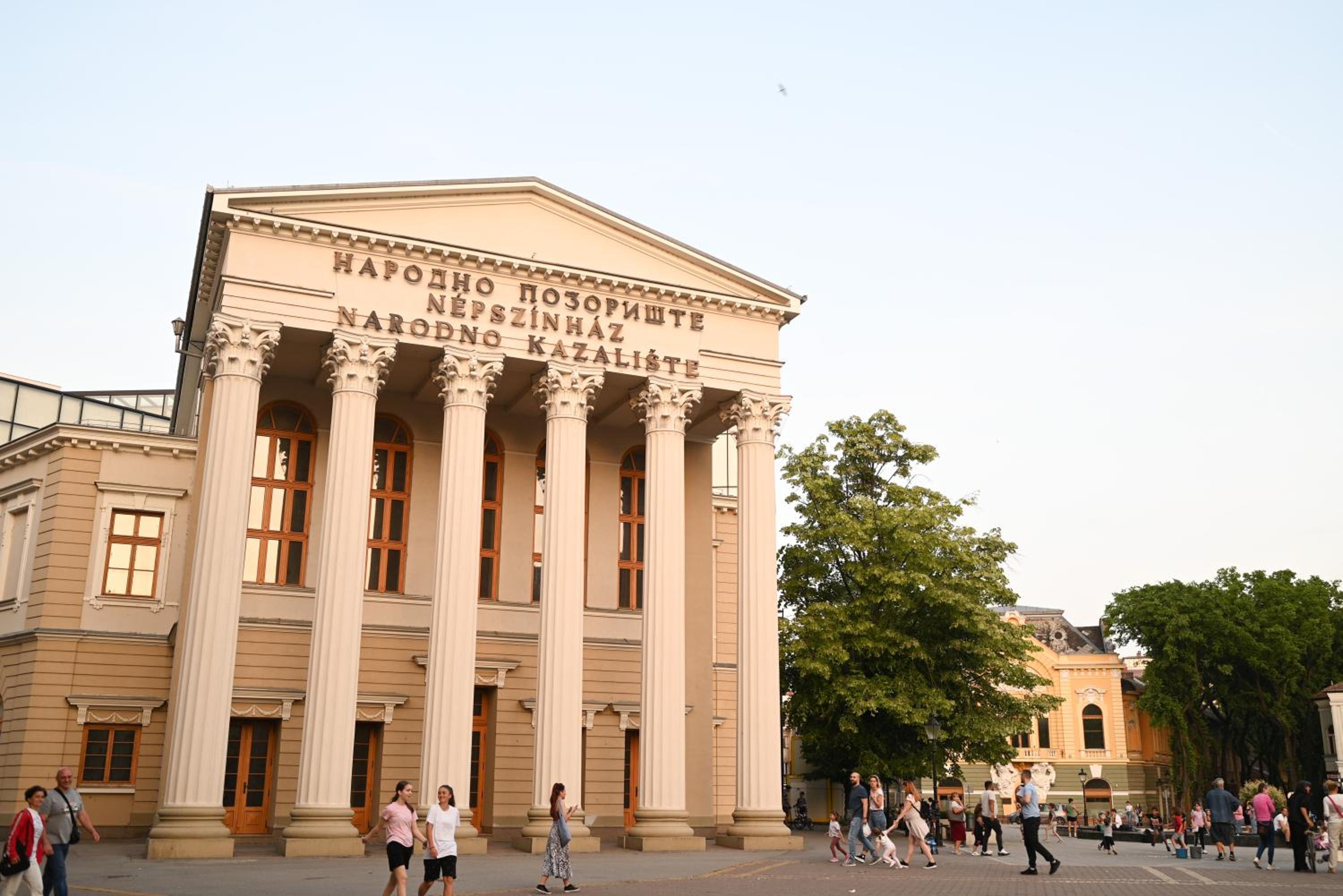 Photo 19
