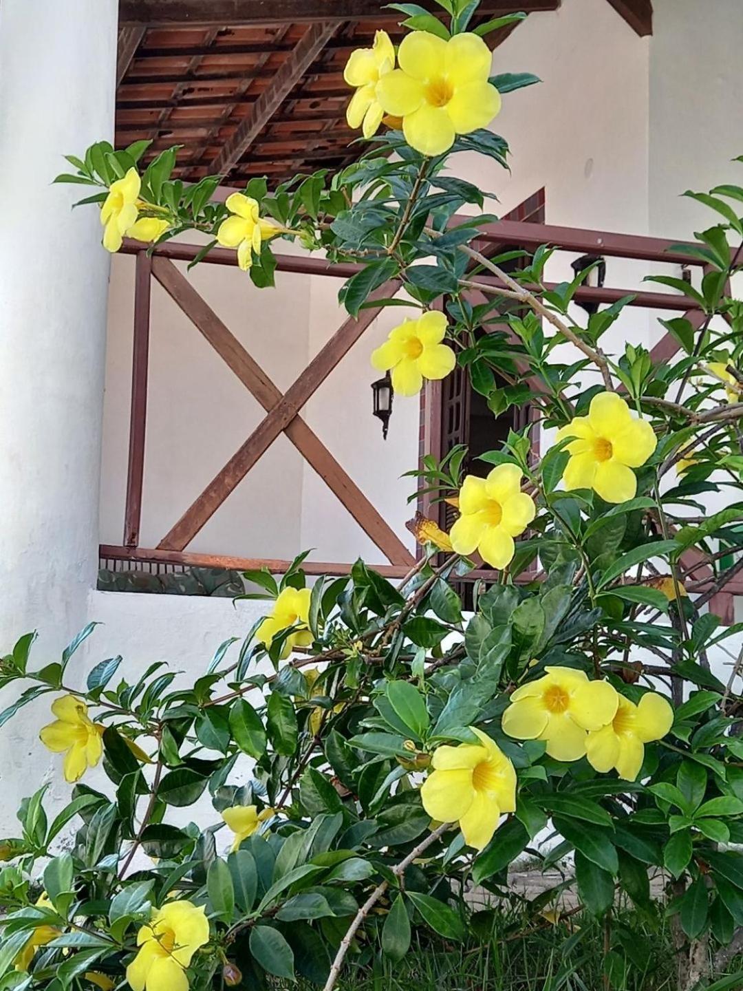 Casa Solaris