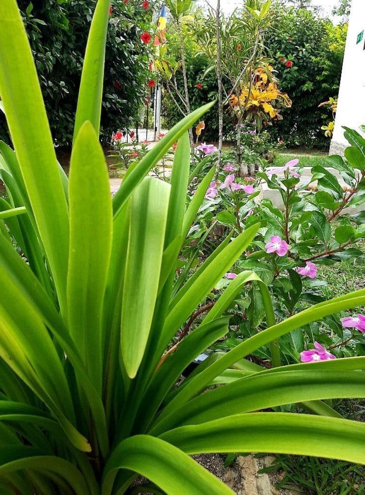 La Source Self Catering photo 4