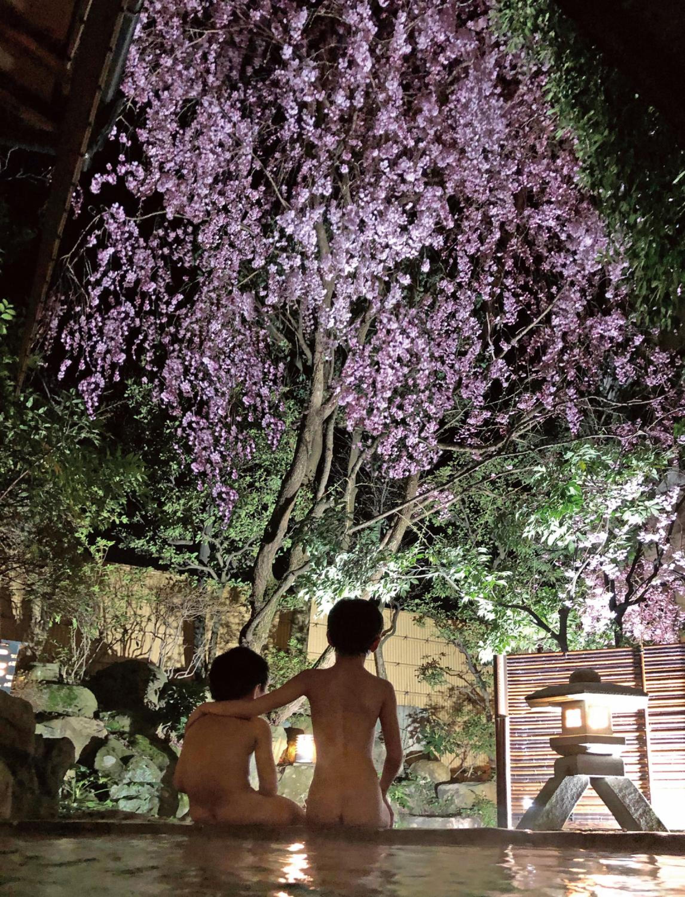 Houshoutei
