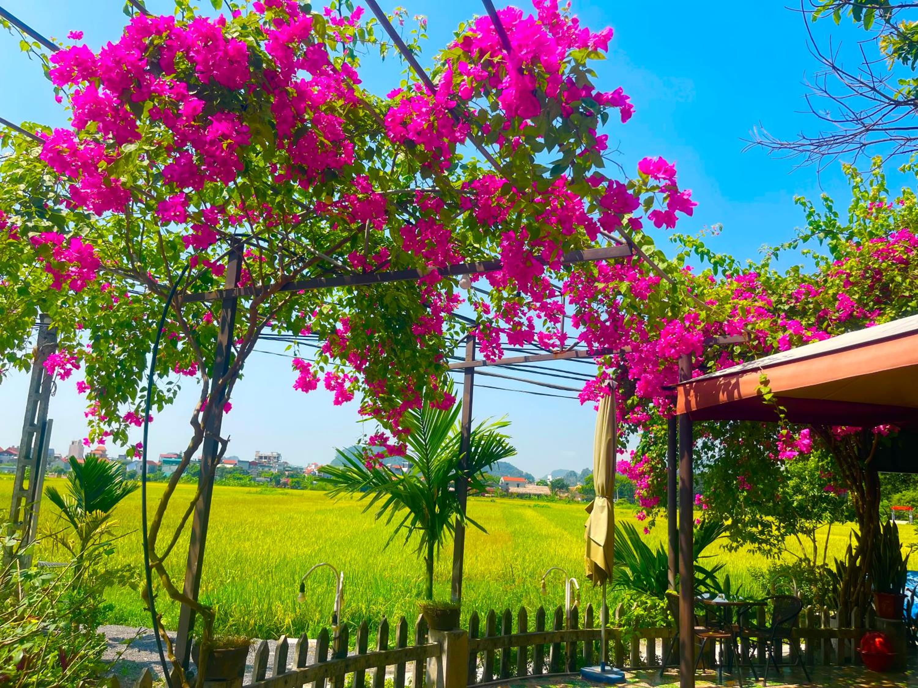 Tam Coc Eco Field Nest By ANMS GROUP