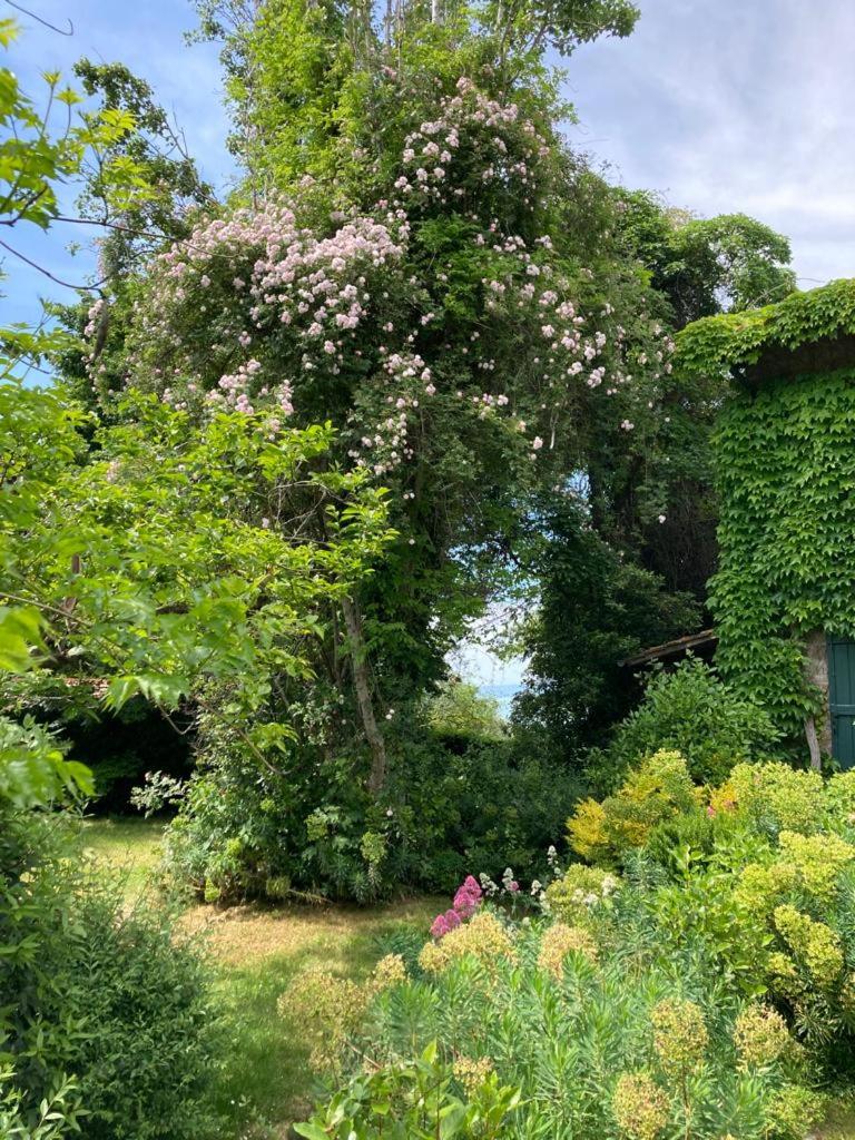 Il Giardorto