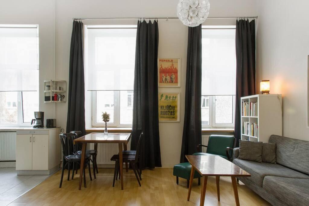 LOFT STYLE APARTMENT in the centre of VILNIUS