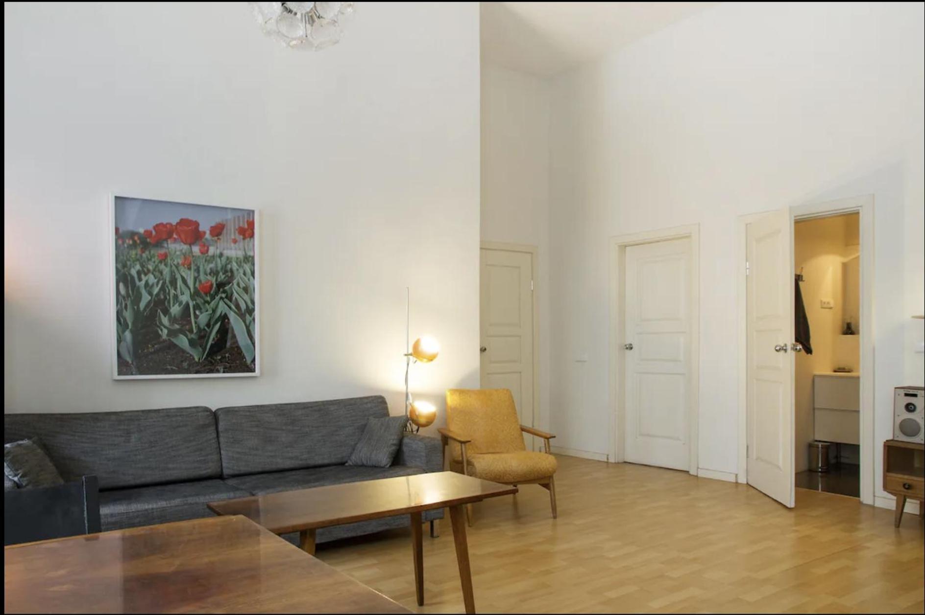 LOFT STYLE APARTMENT in the centre of VILNIUS