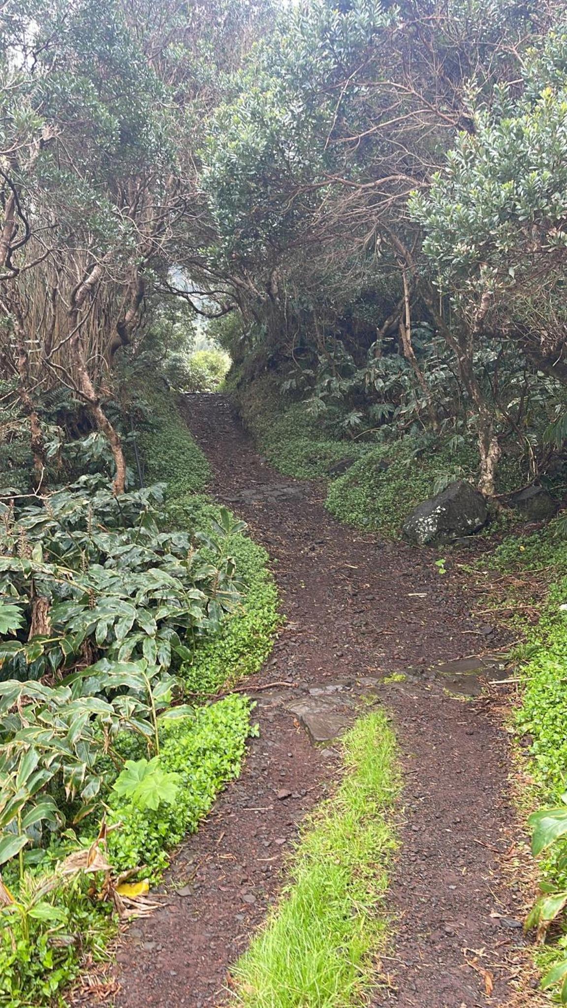 Kuanza Nature Experience, Fajã do Belo view 4