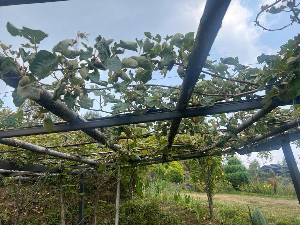 Prakriti Resort and Organic Farm Pvt. Ltd.