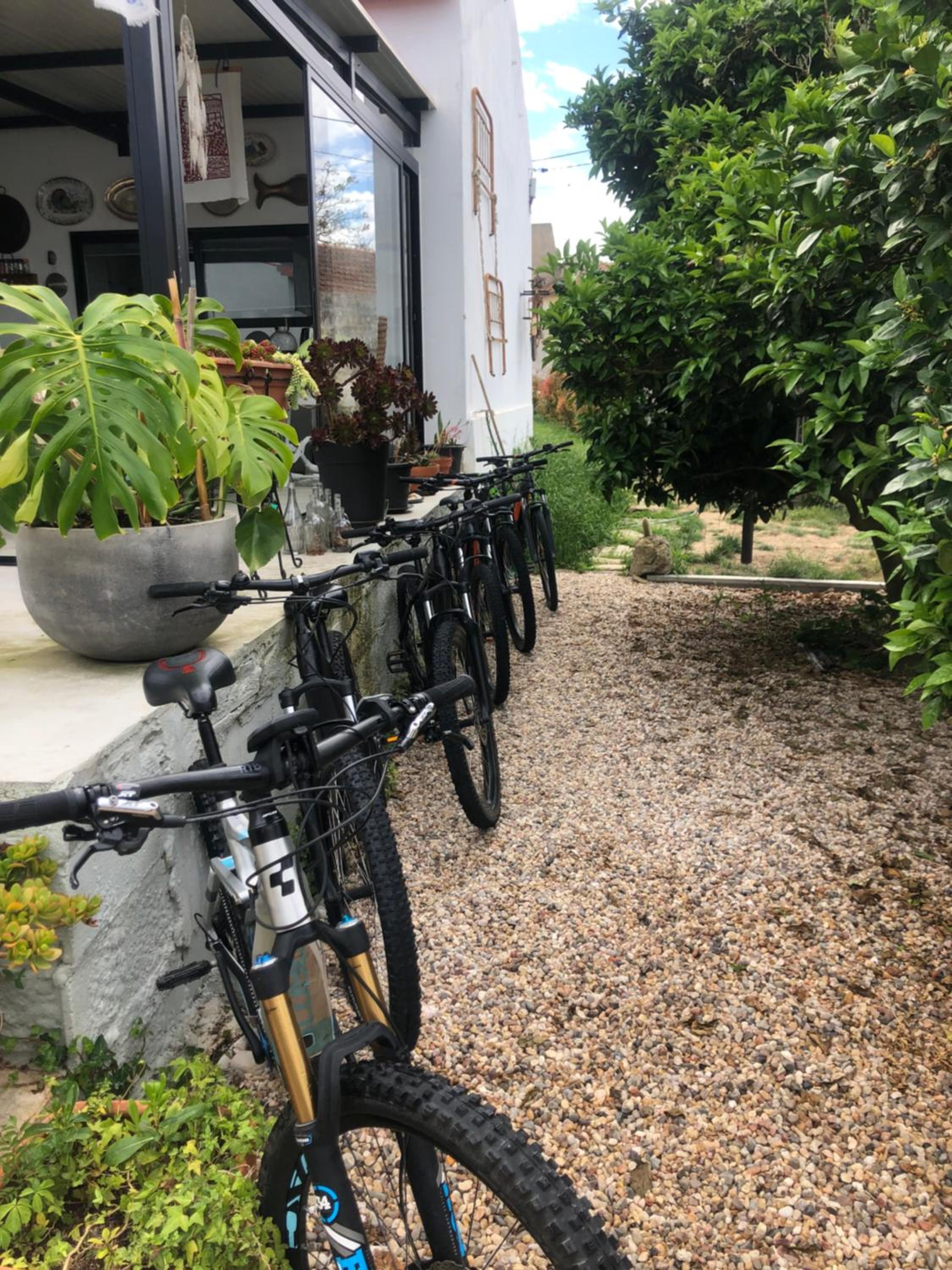 Bedebike view 3