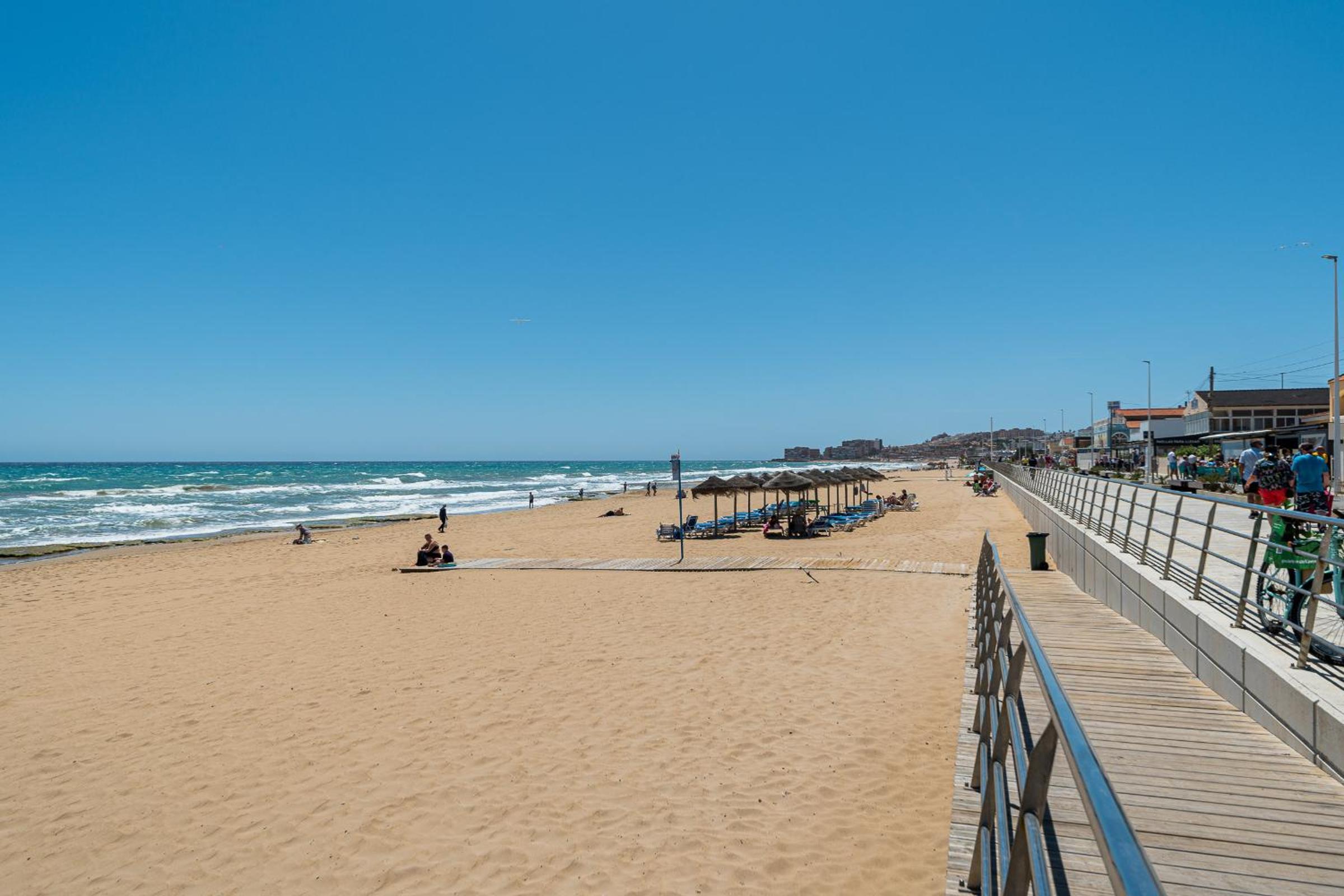 Apartament pod Palmami /Bajo las Palmeras