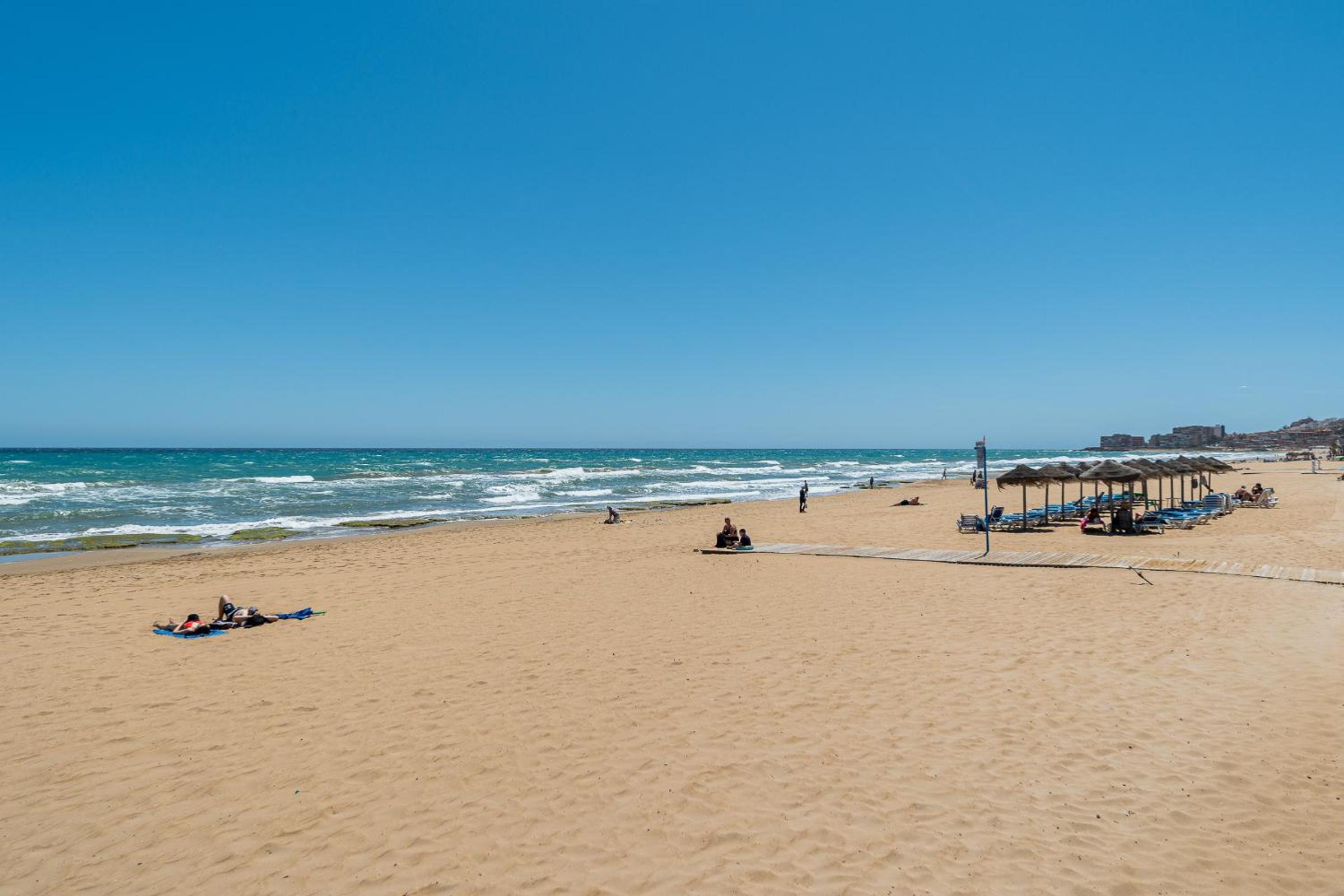 Apartament pod Palmami /Bajo las Palmeras