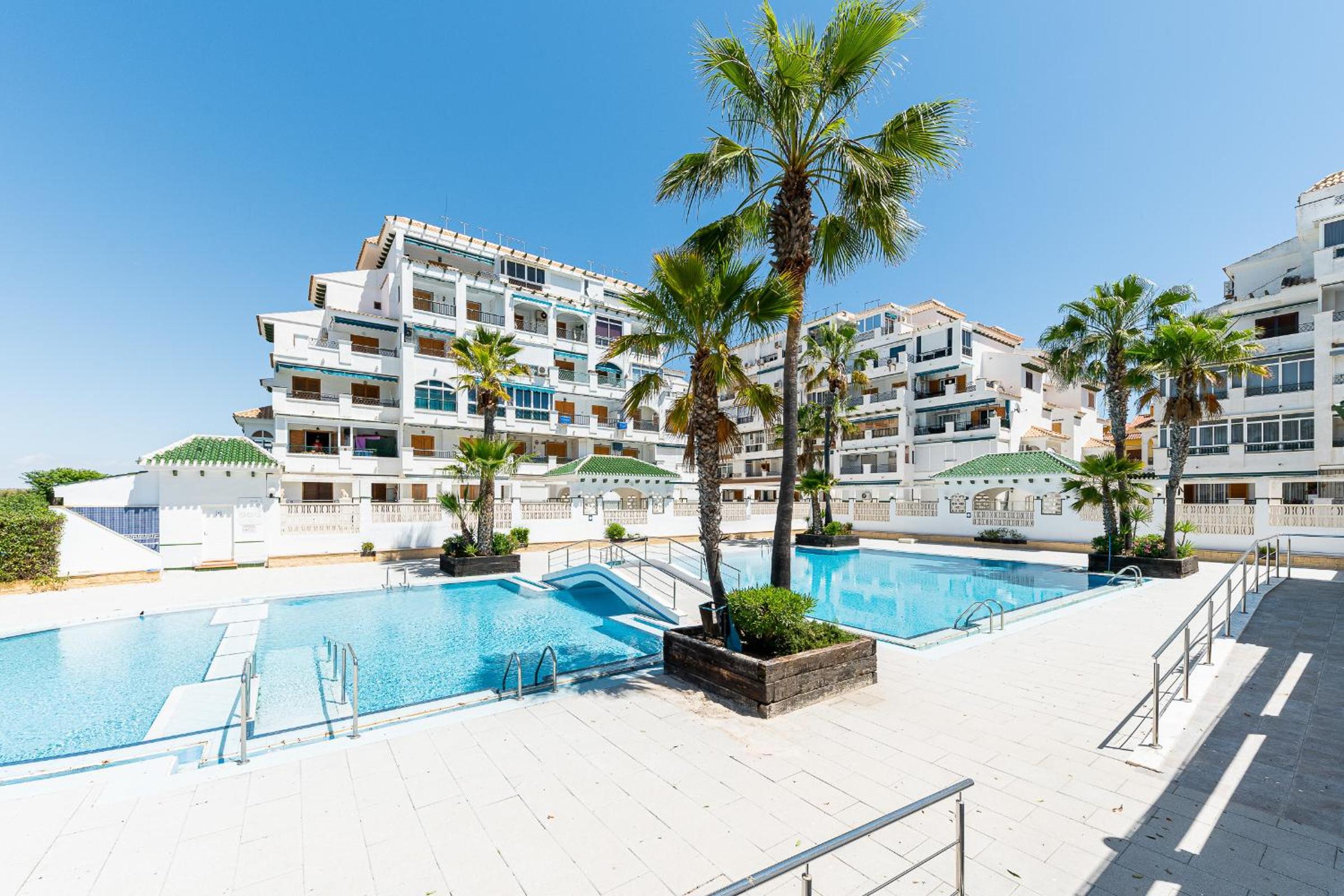 Apartament pod Palmami /Bajo las Palmeras