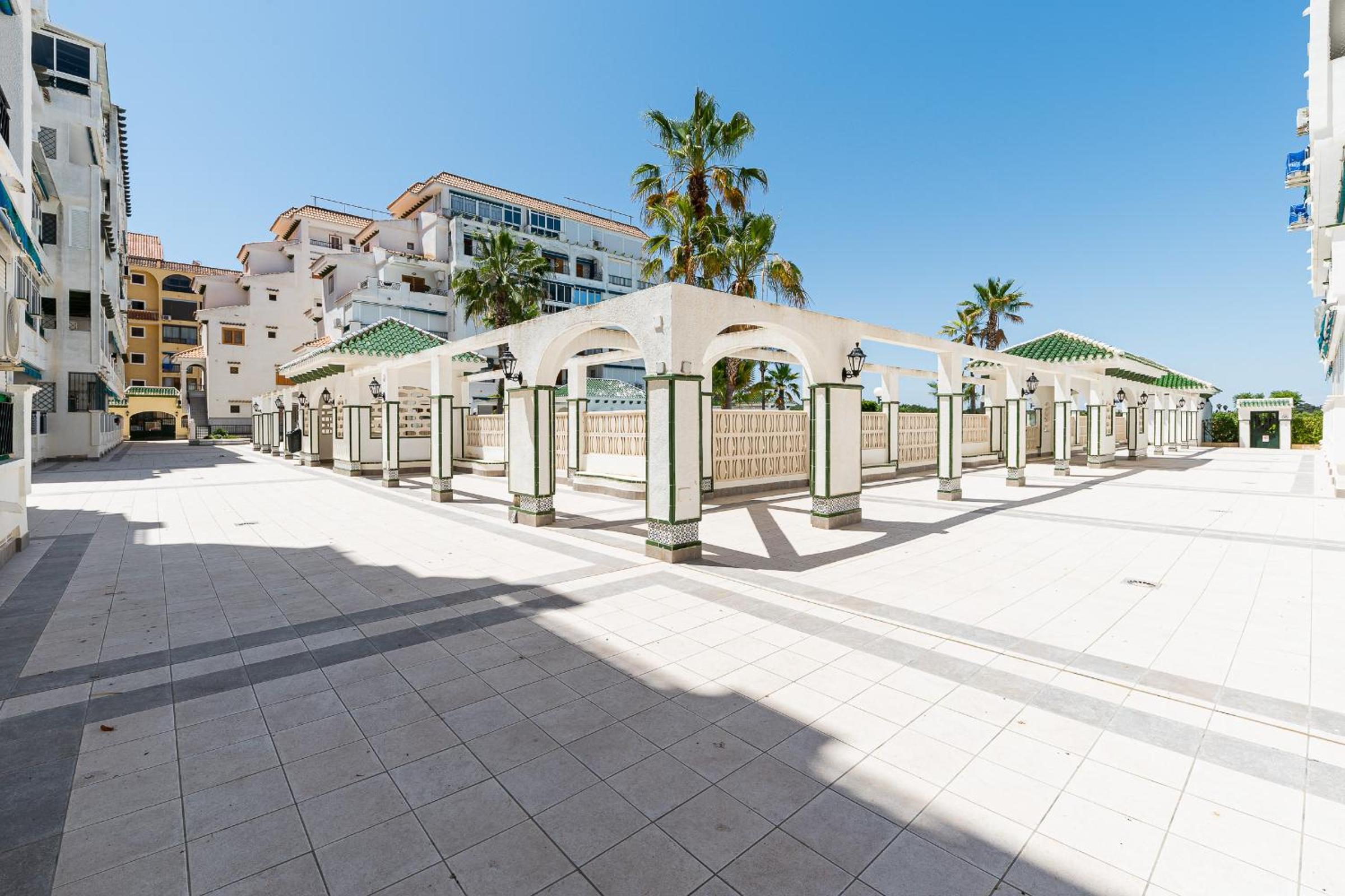 Apartament pod Palmami /Bajo las Palmeras