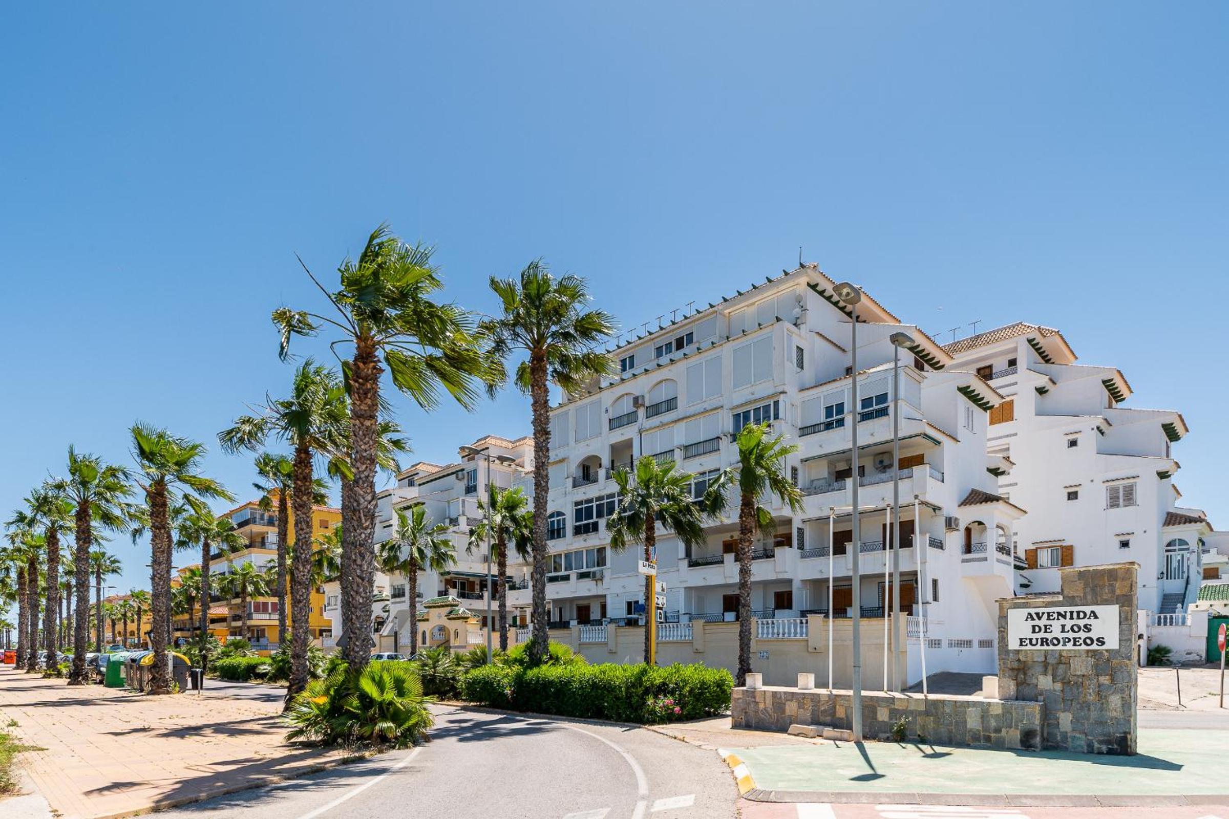 Apartament pod Palmami /Bajo las Palmeras