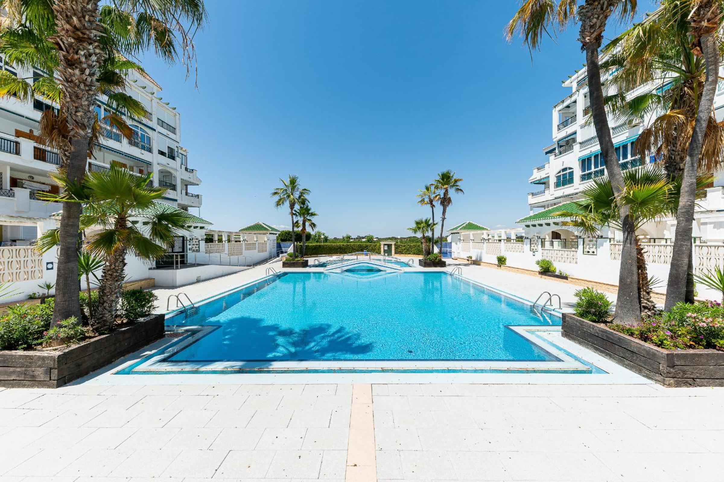 Apartament pod Palmami /Bajo las Palmeras
