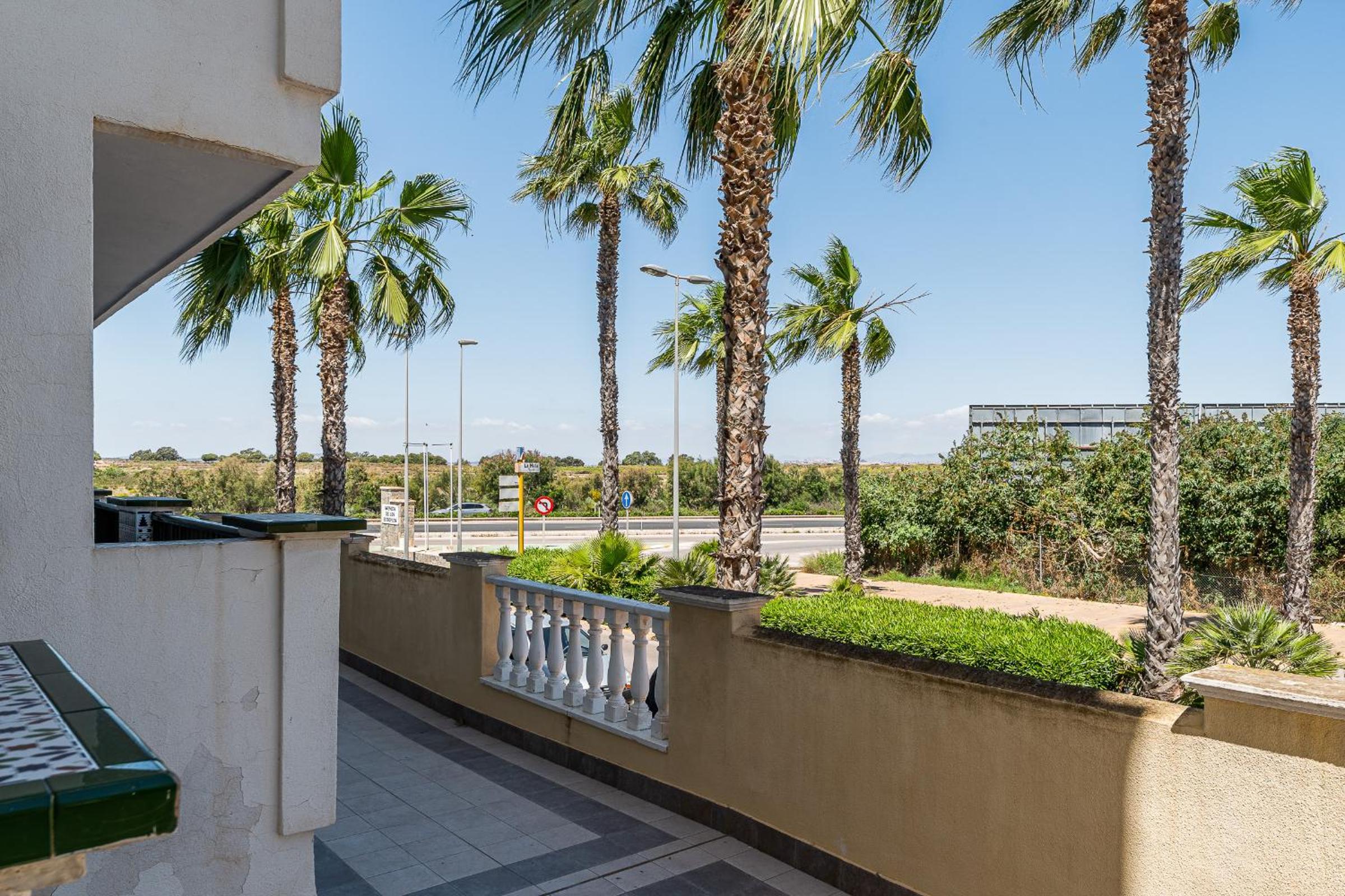 Apartament pod Palmami /Bajo las Palmeras