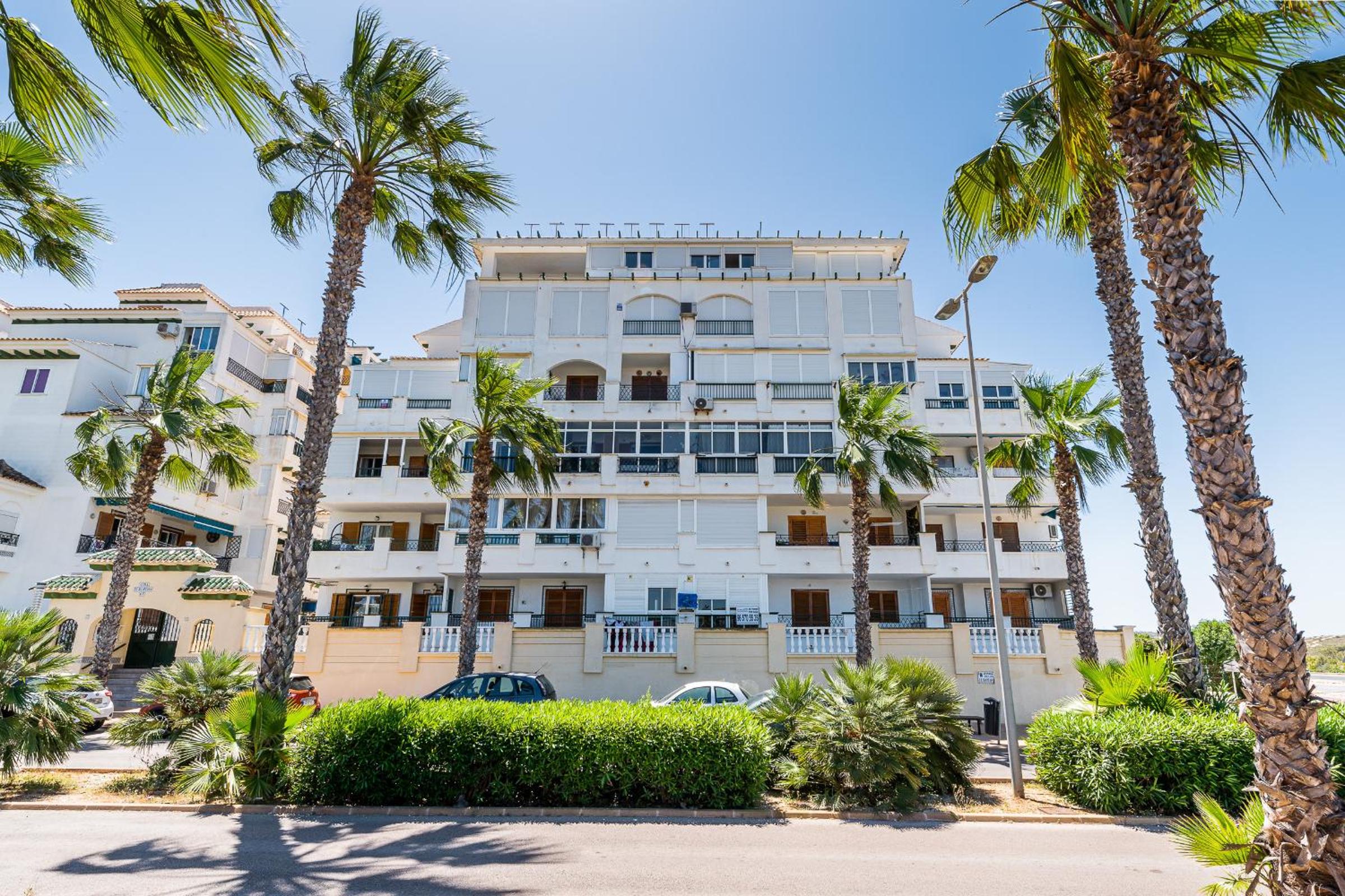 Apartament pod Palmami /Bajo las Palmeras