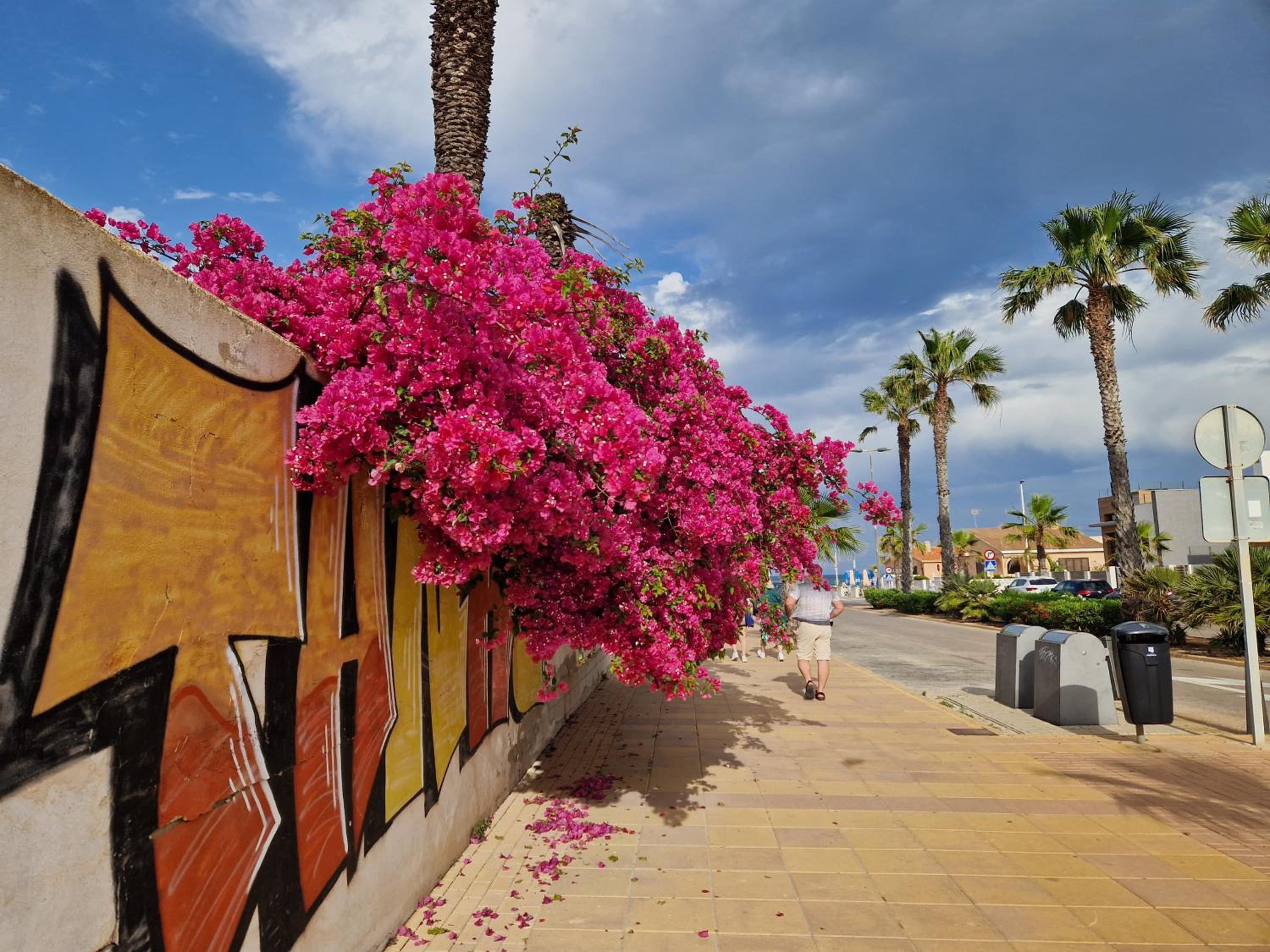 Apartament pod Palmami /Bajo las Palmeras